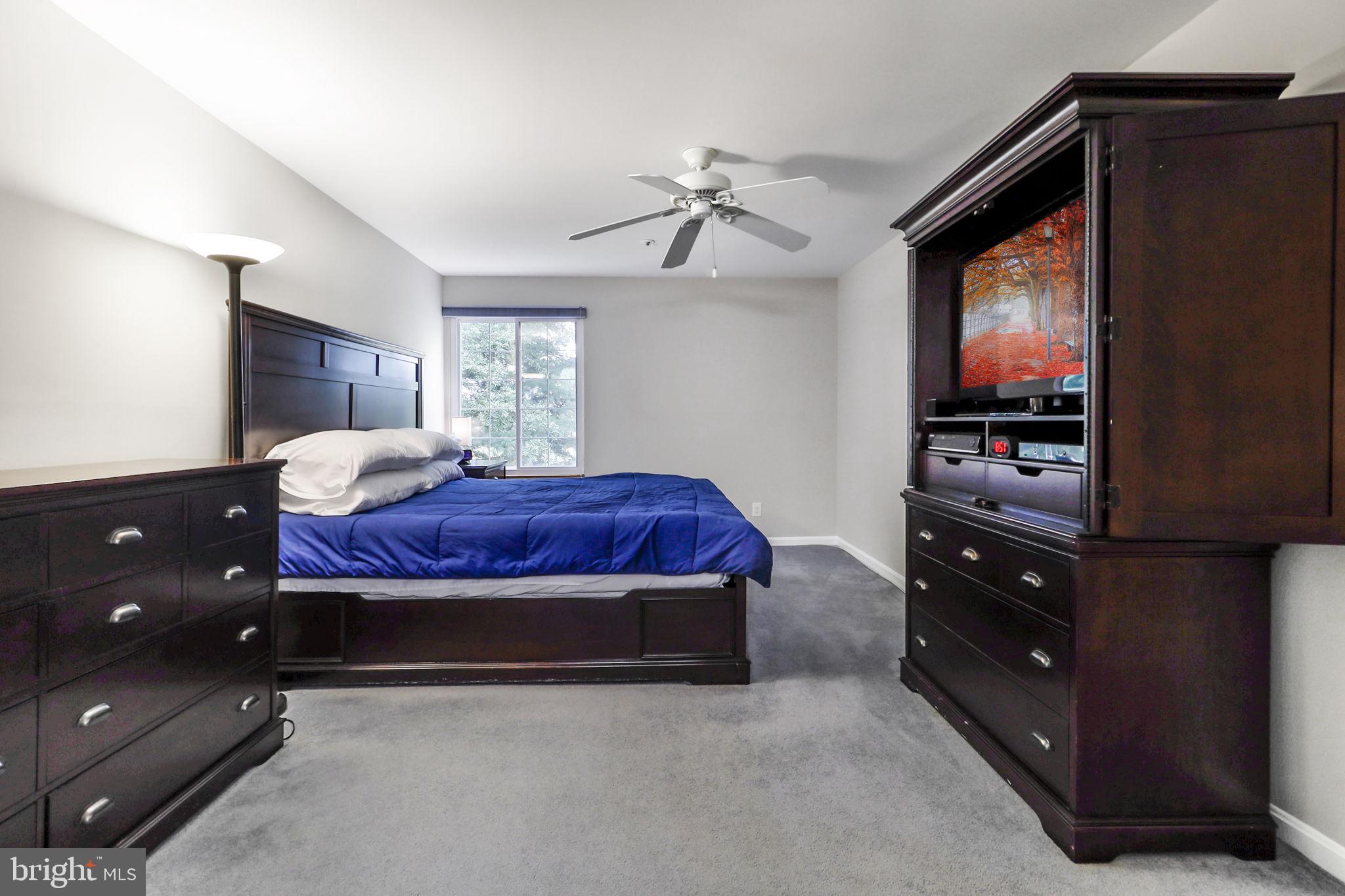 VILLAGE OF DORSEY SEARCH - Residential