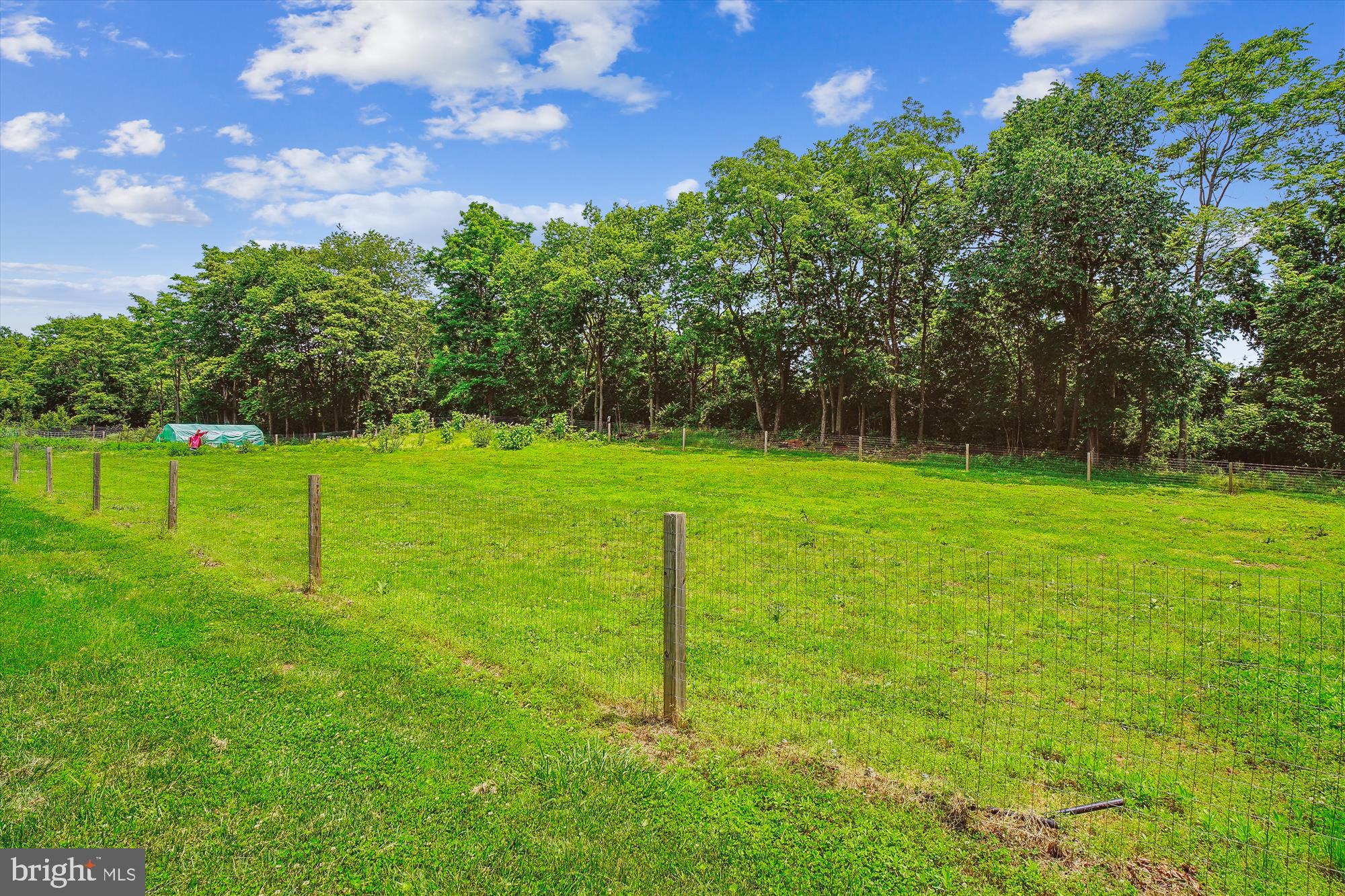 ADAMSTOWN COMMONS - Residential