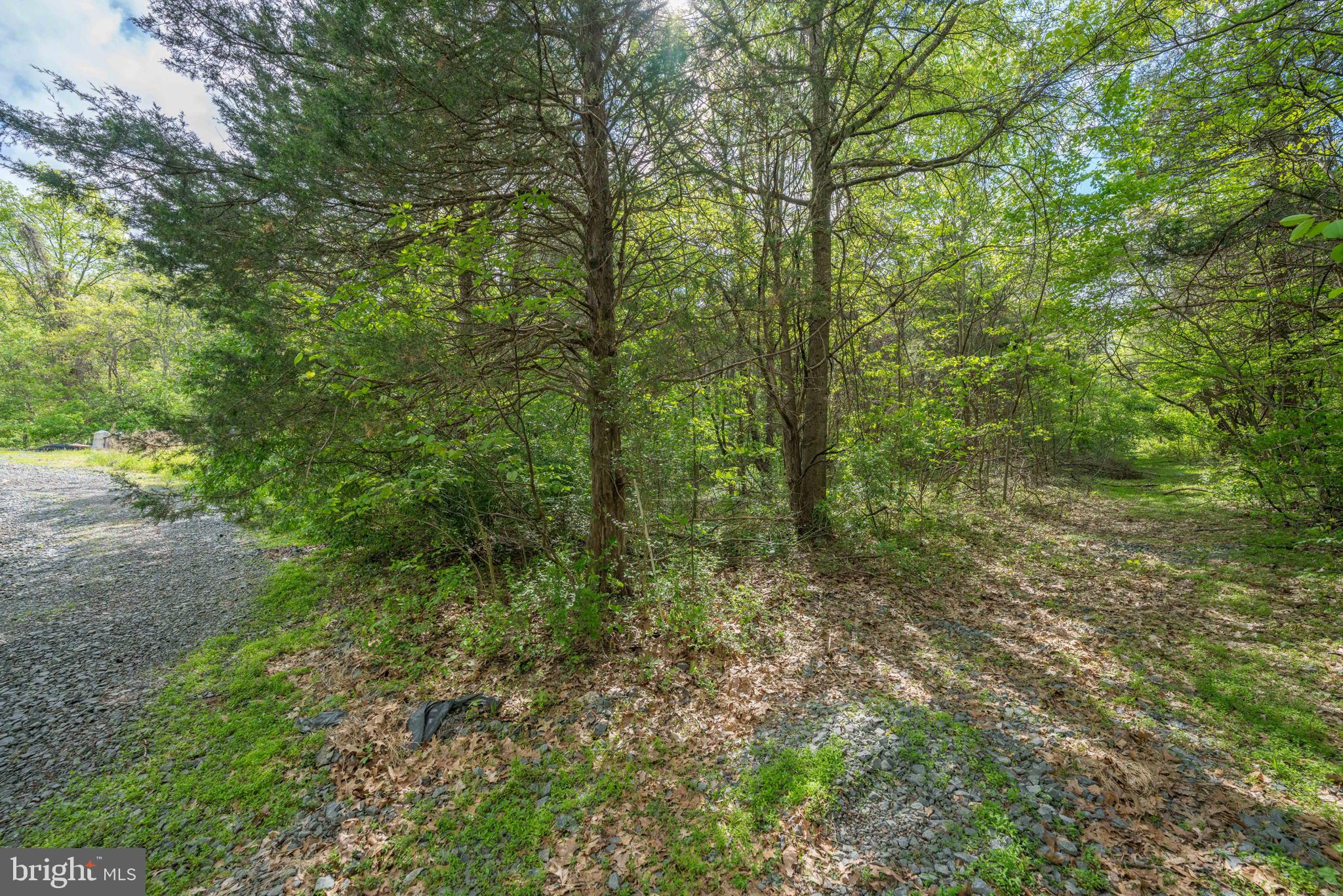 PINEY RIDGE ROAD