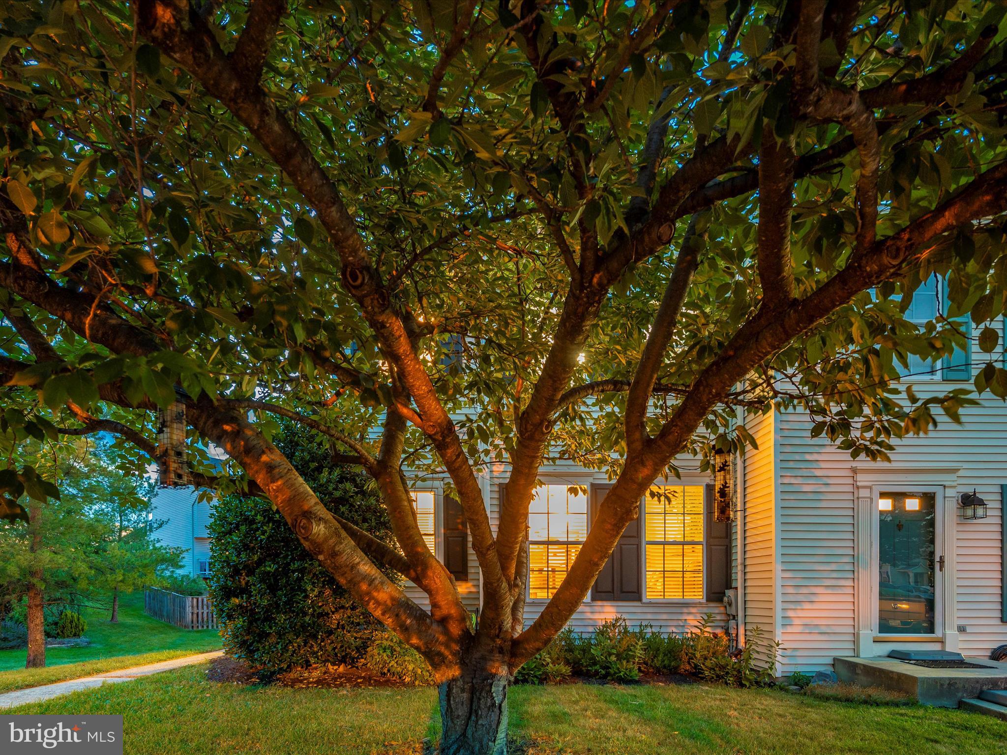 SPRING RIDGE - Residential