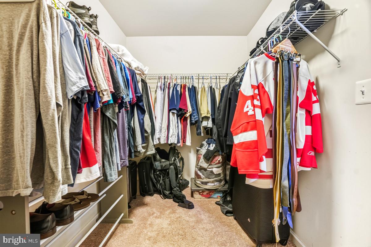 BOLT PROPERTY - Residential