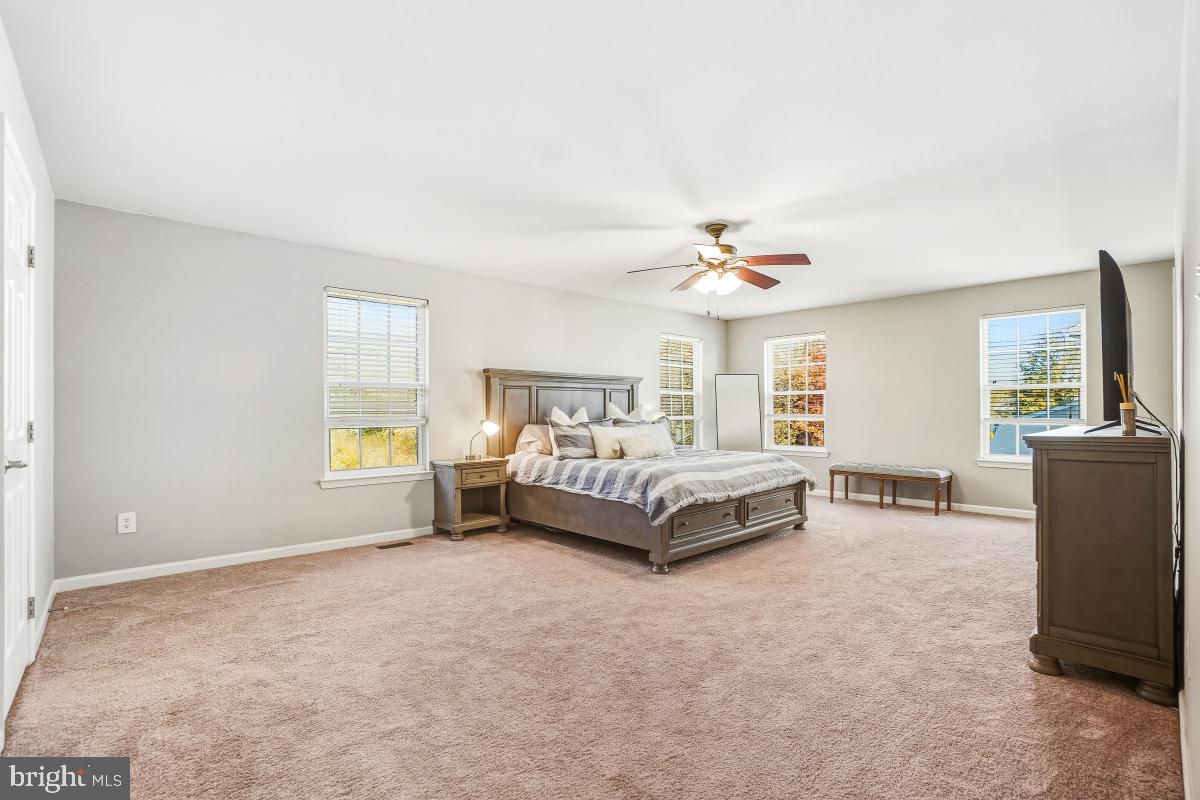 BOLT PROPERTY - Residential