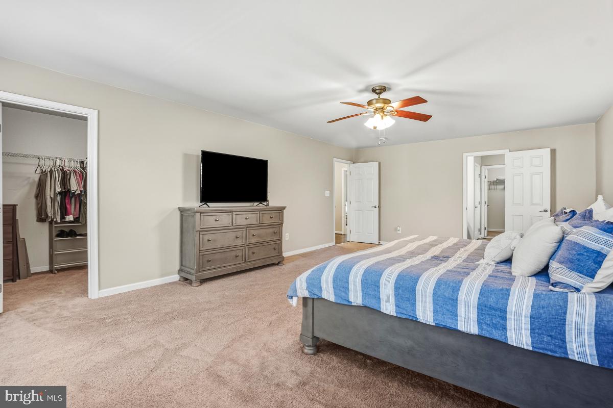 BOLT PROPERTY - Residential