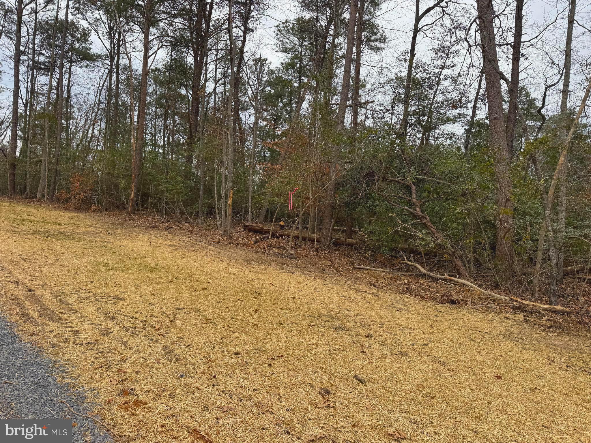 NONE AVAILABLE - Land