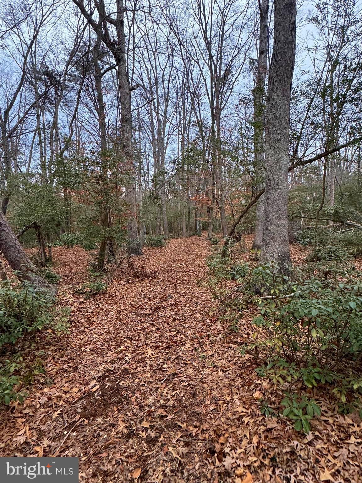 NONE AVAILABLE - Land