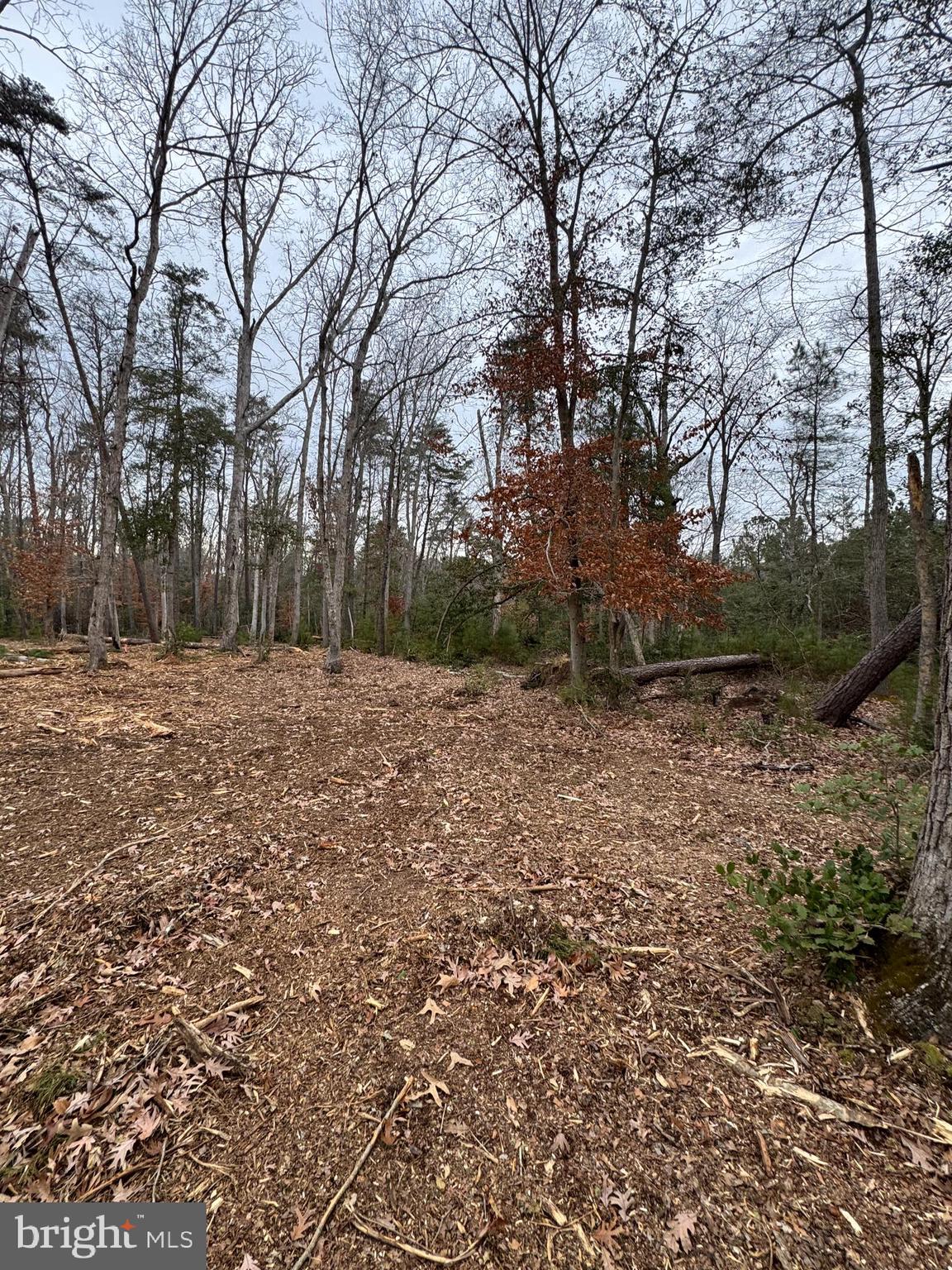 NONE AVAILABLE - Land