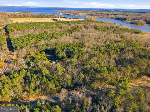 Vacant Land For Sale - 1 Seagrass Court<br/> King George County, KING GEORGE, VA 22485
