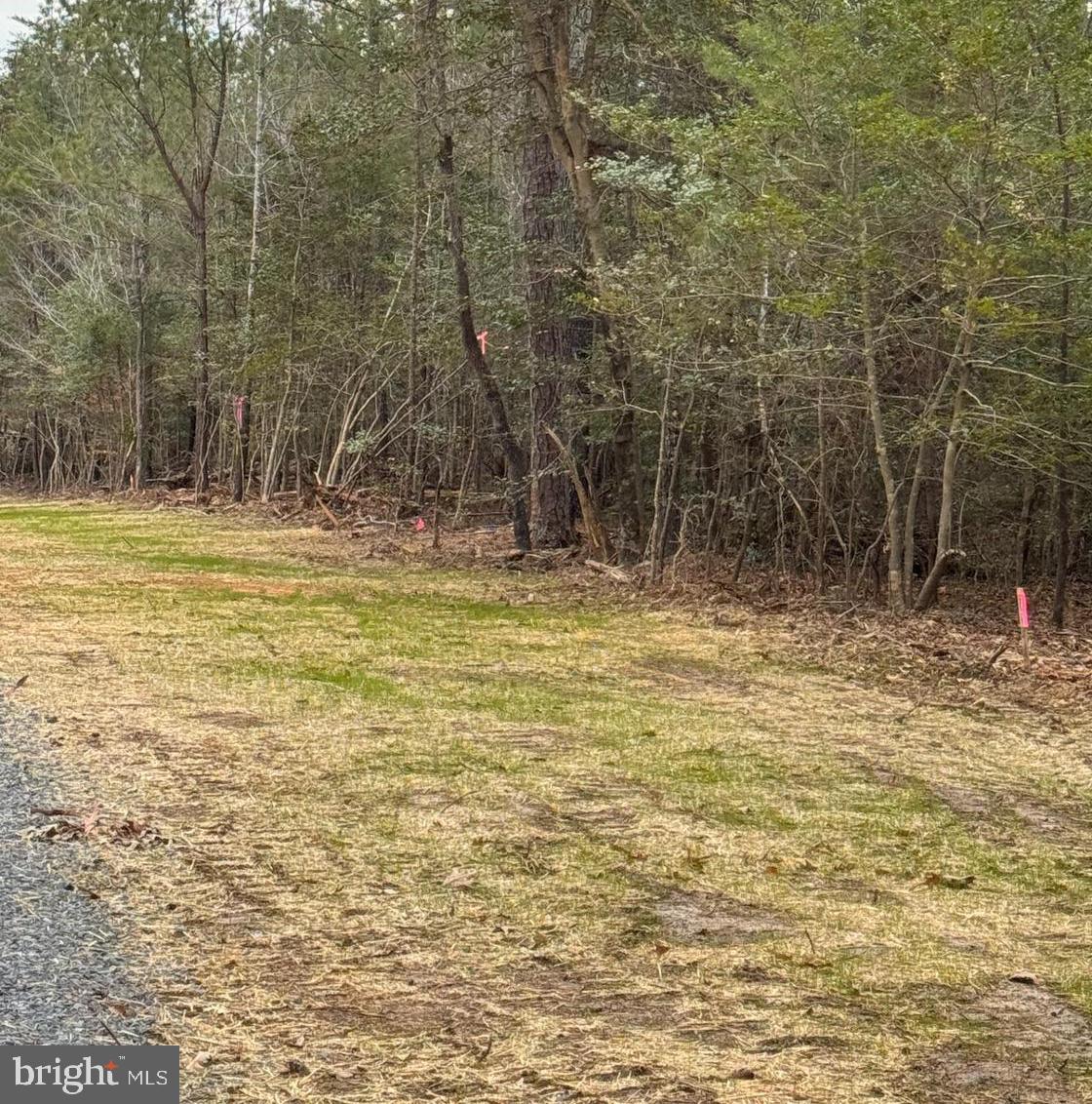 NONE AVAILABLE - Land