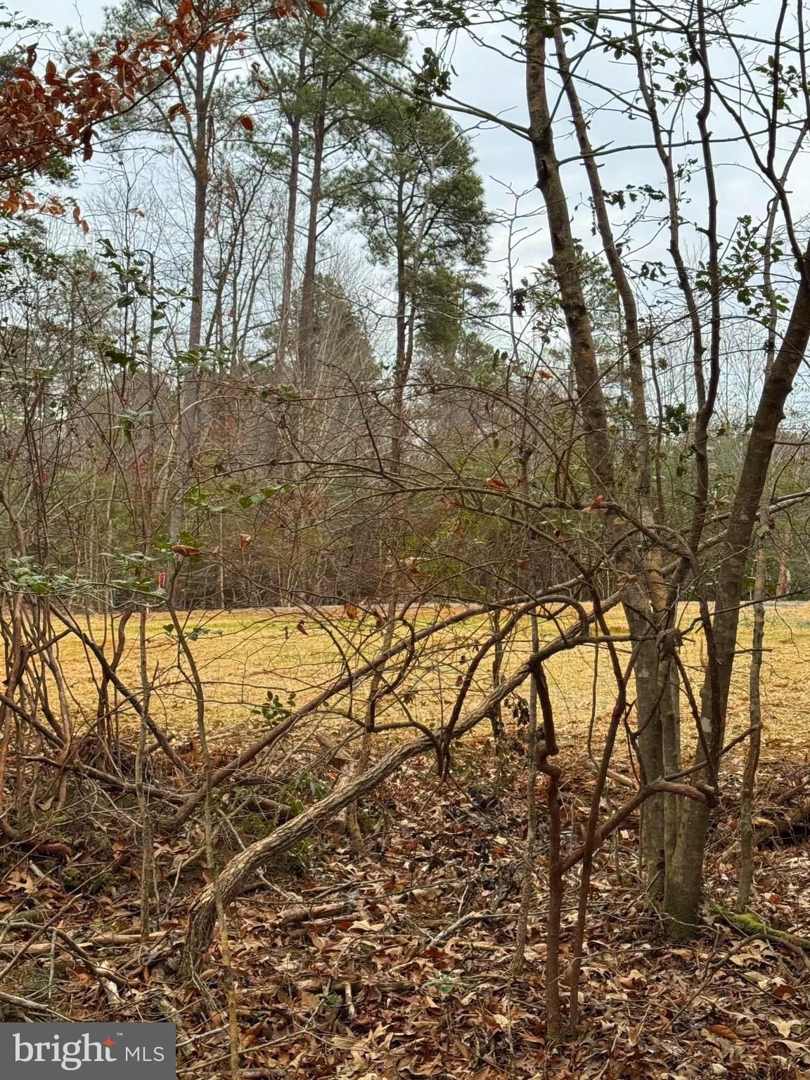 NONE AVAILABLE - Land