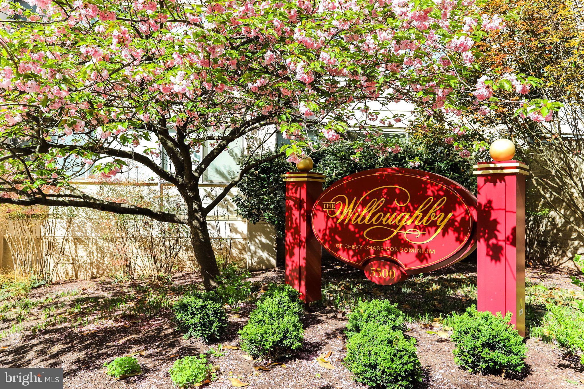 FRIENDSHIP HEIGHTS - Residential