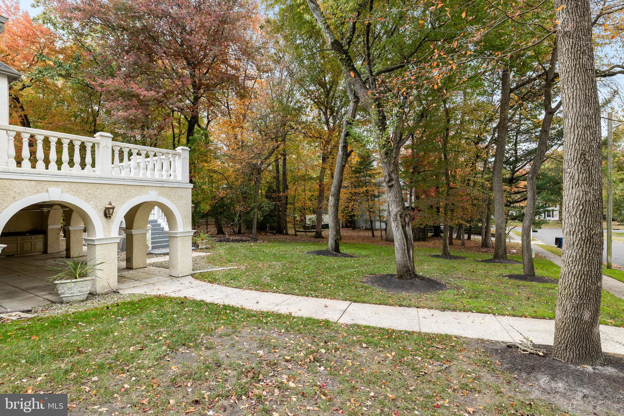 LOST TREE - Residential