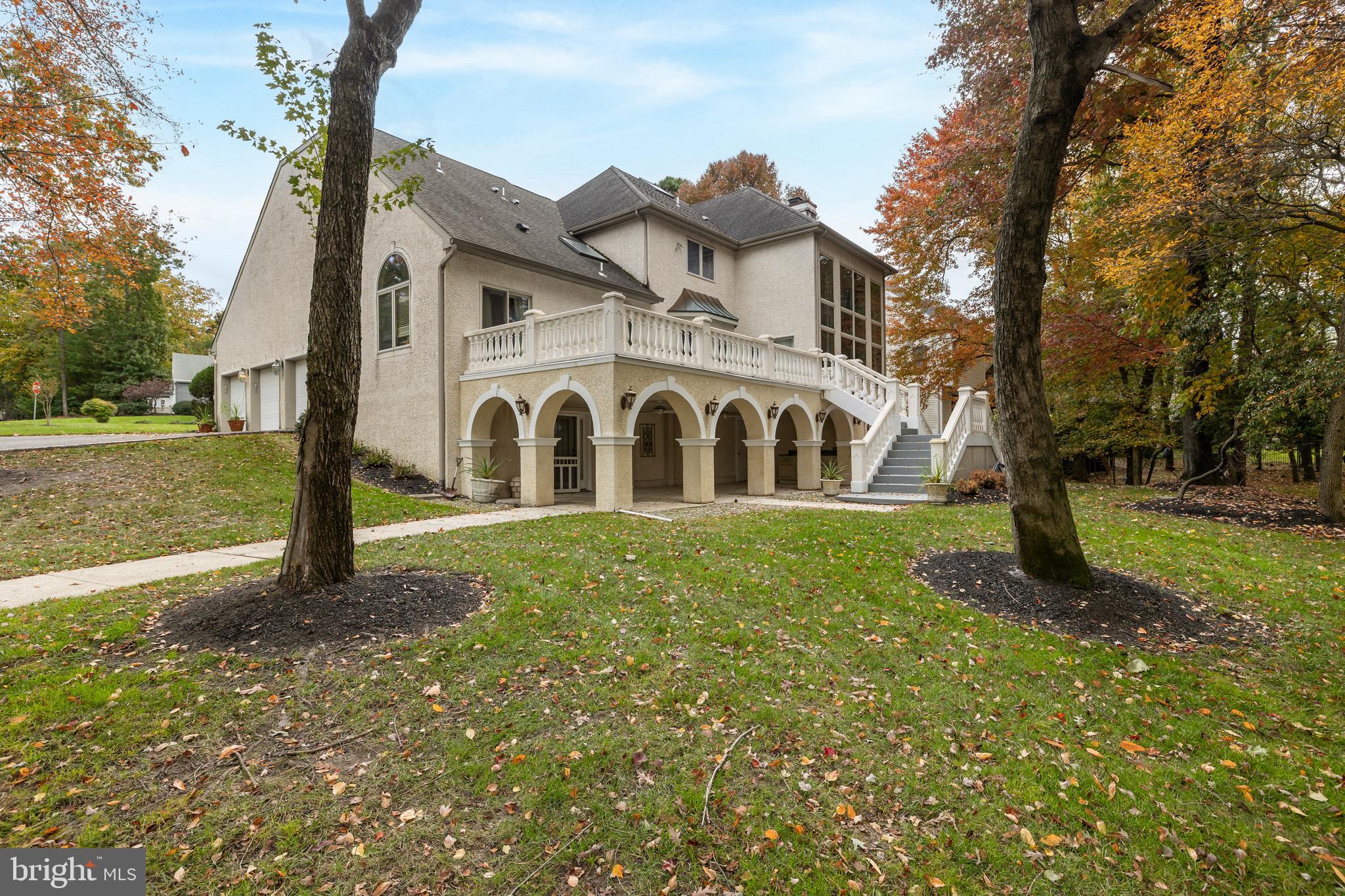 LOST TREE - Residential