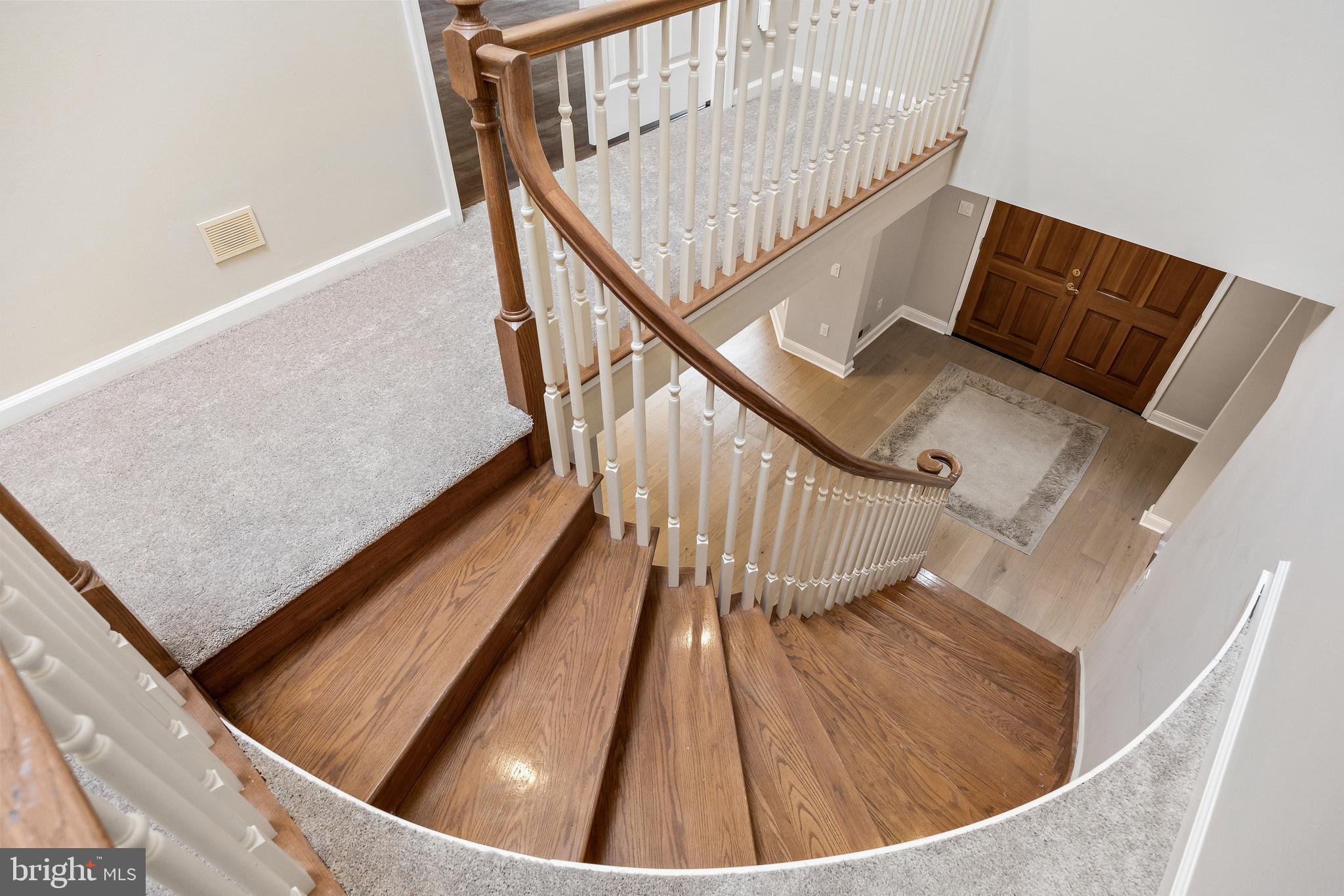 LOST TREE - Residential