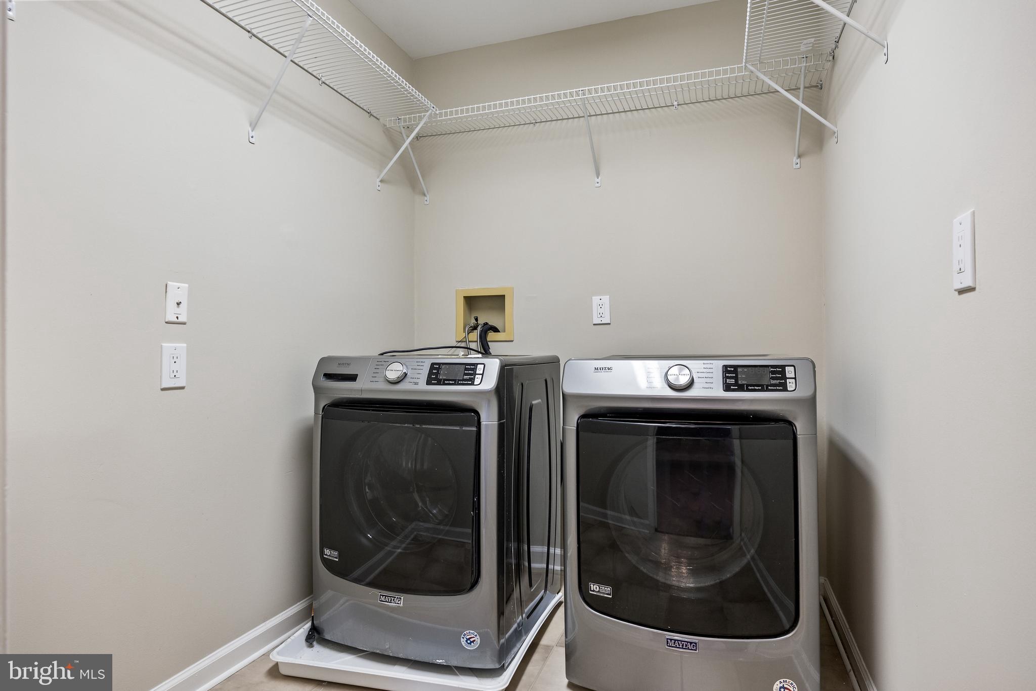 LOST TREE - Residential