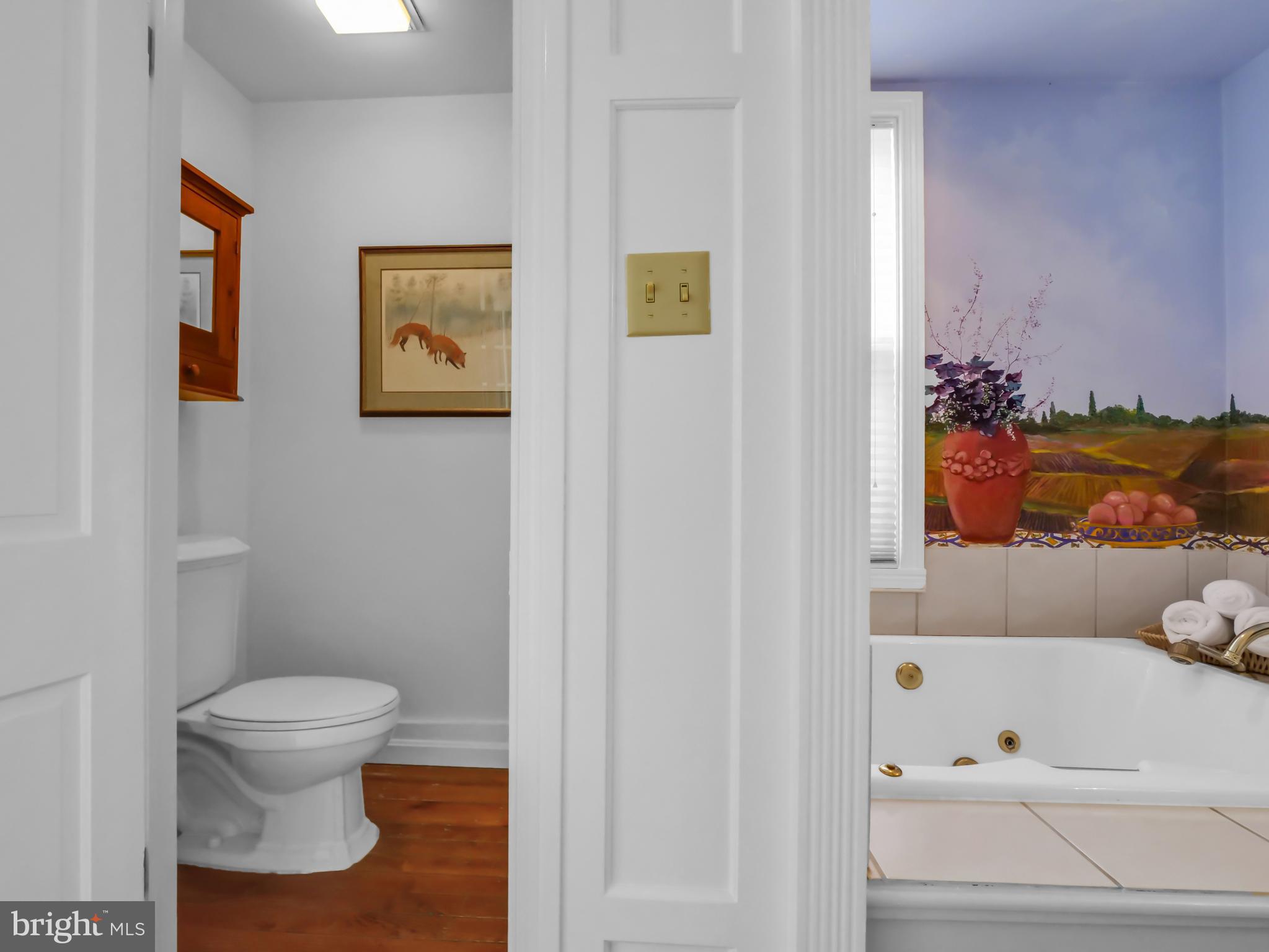 DOWNTOWN FREDERICK - Residential