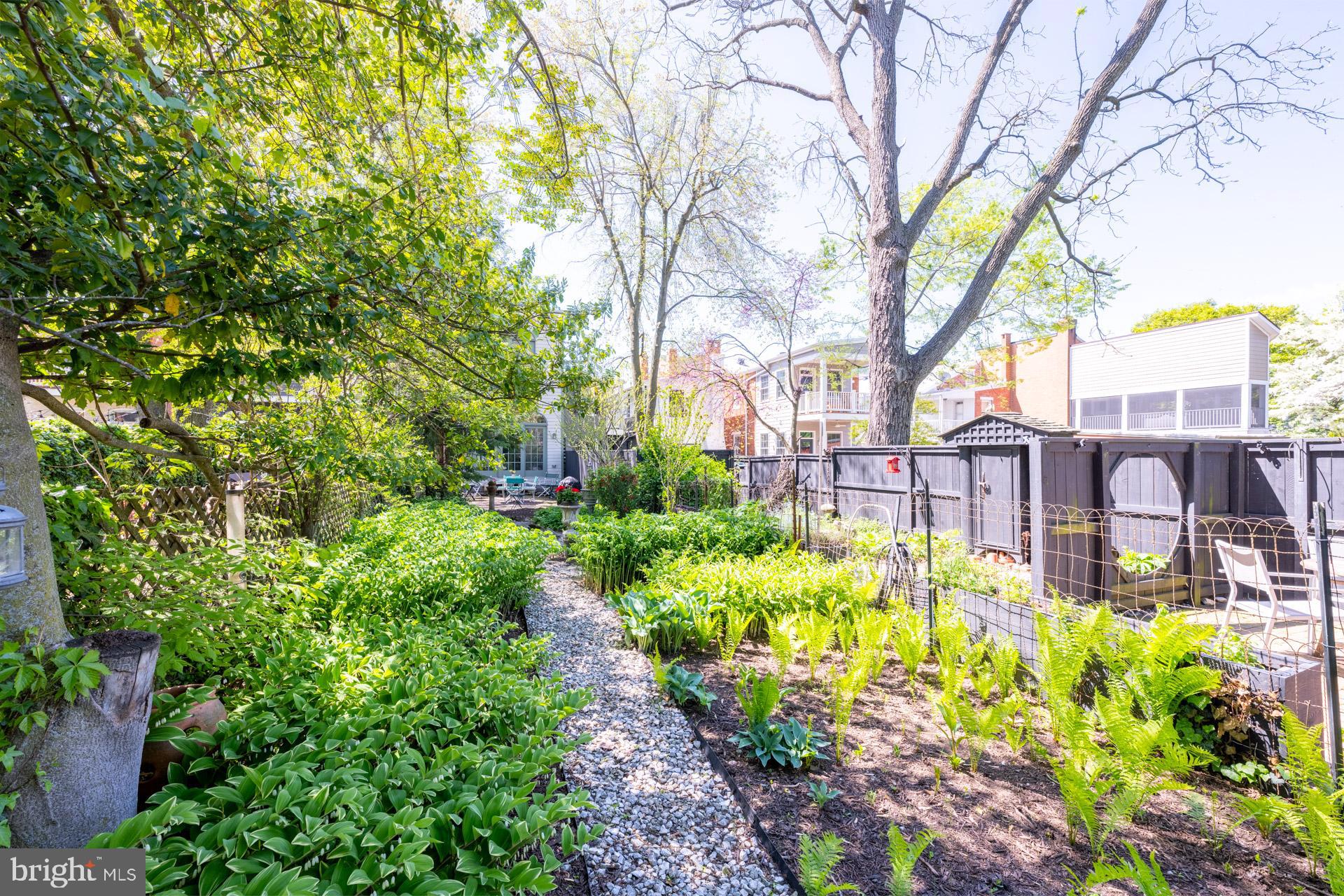 DOWNTOWN FREDERICK - Residential