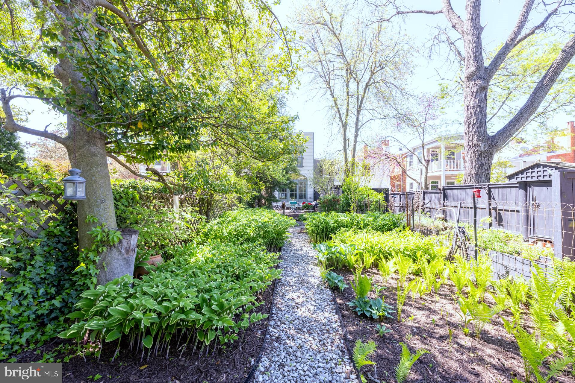 DOWNTOWN FREDERICK - Residential