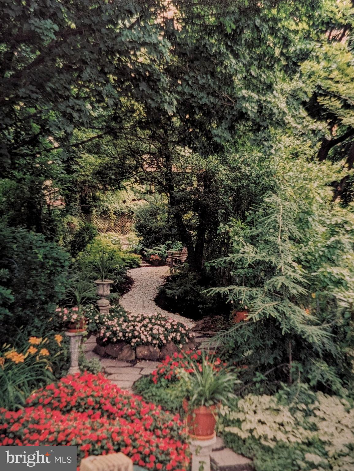 DOWNTOWN FREDERICK - Residential