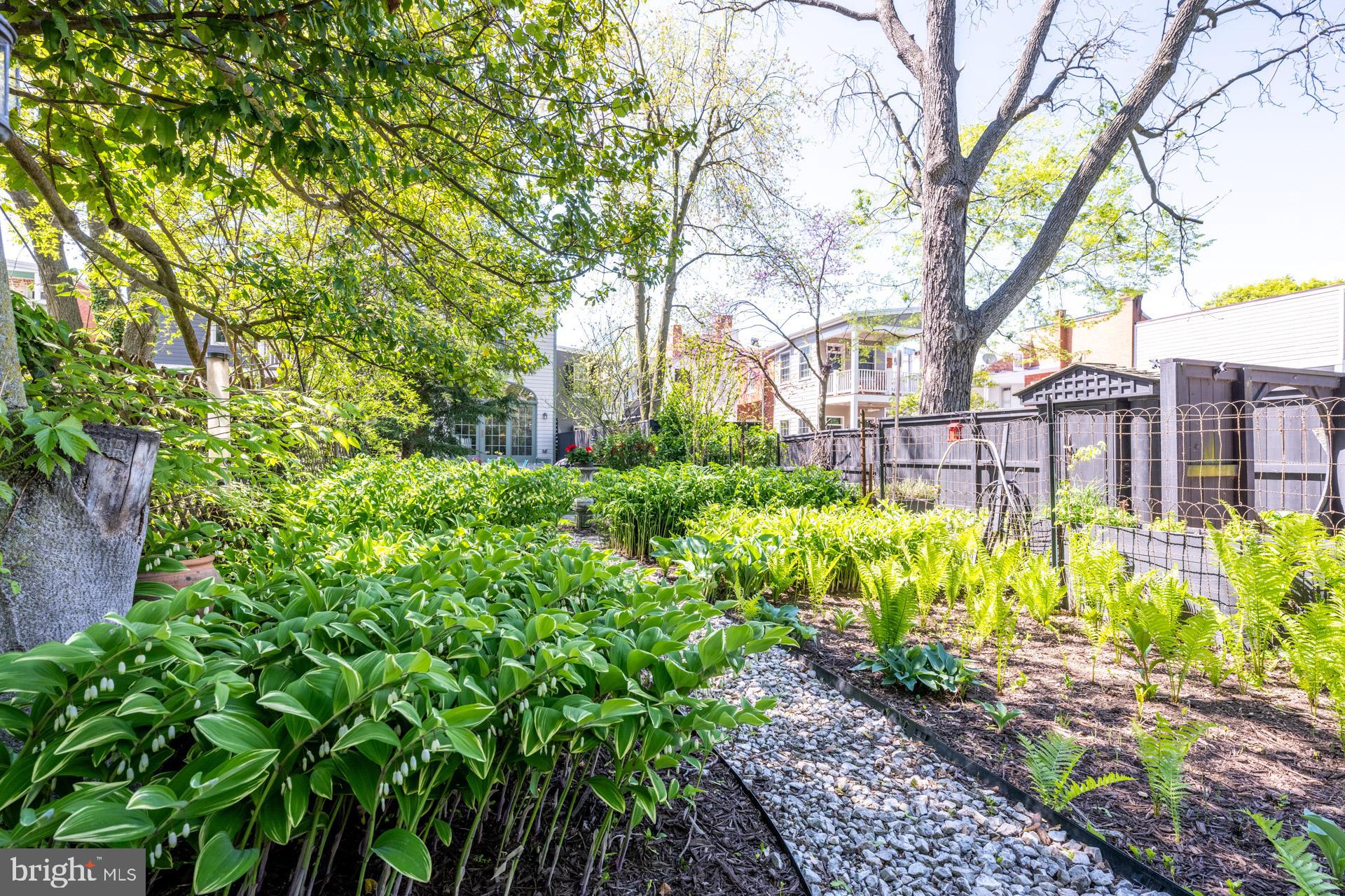 DOWNTOWN FREDERICK - Residential