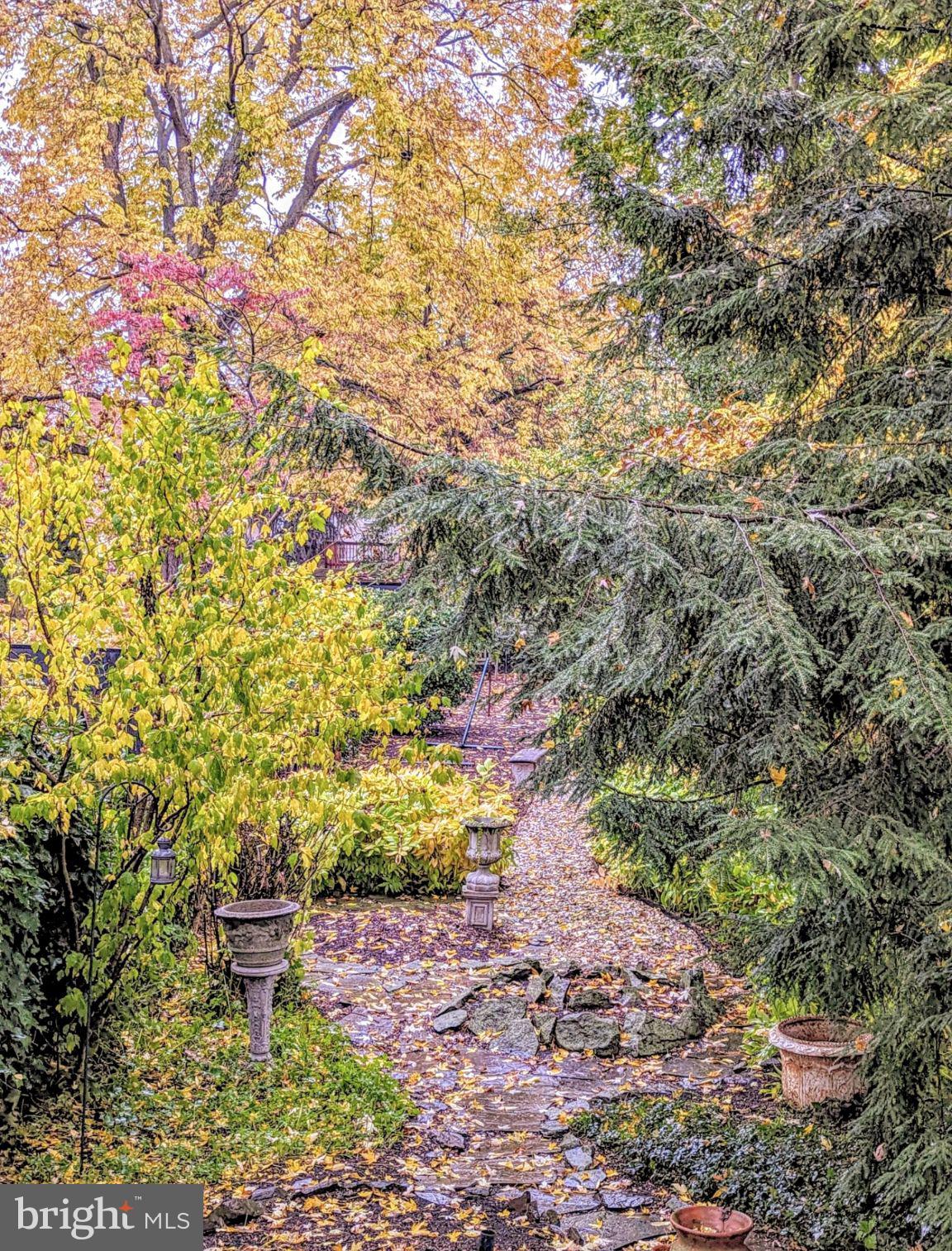 DOWNTOWN FREDERICK - Residential