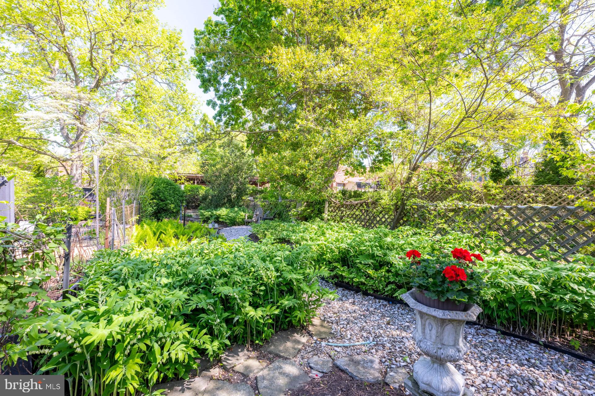 DOWNTOWN FREDERICK - Residential