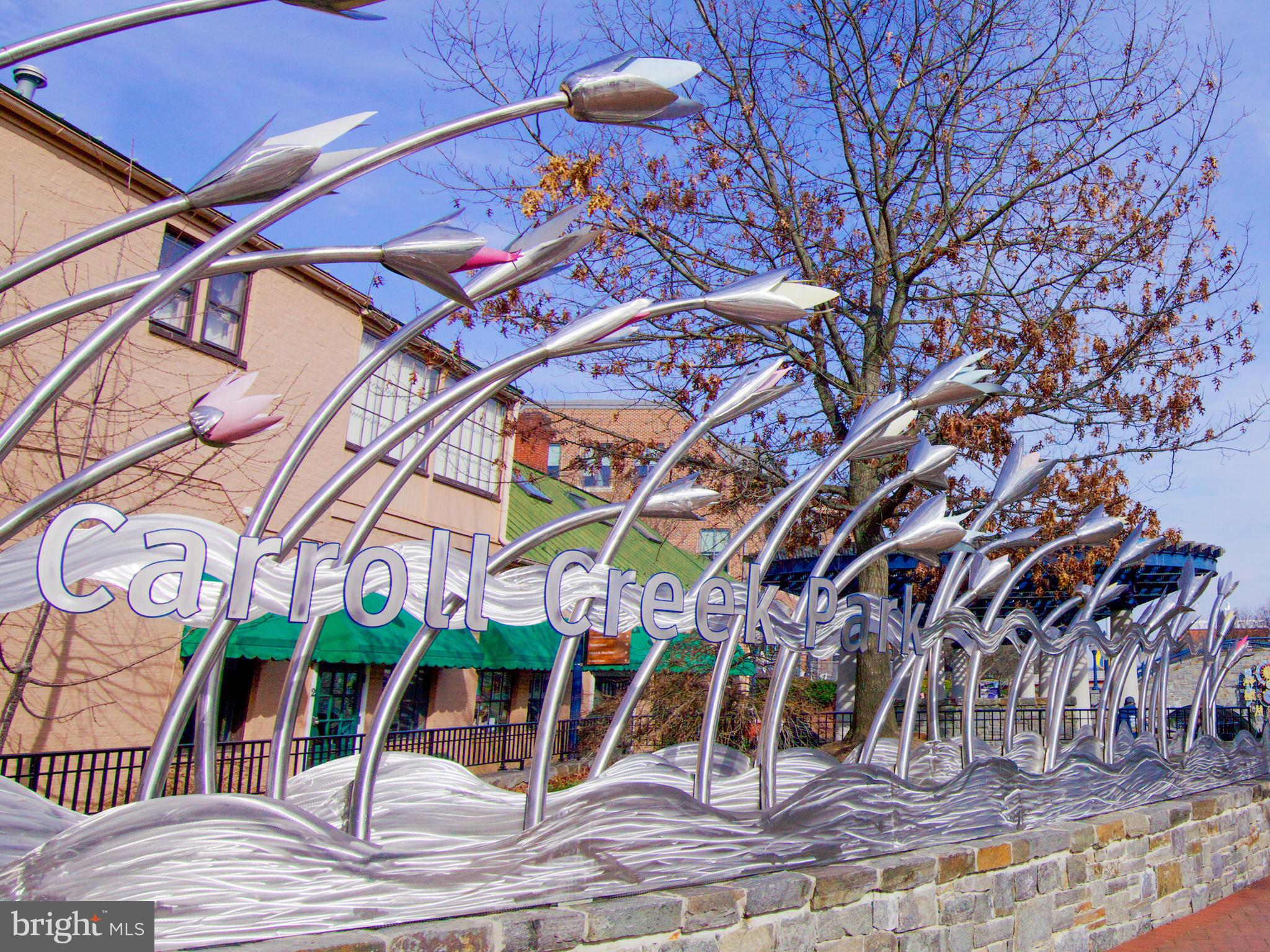 DOWNTOWN FREDERICK - Residential