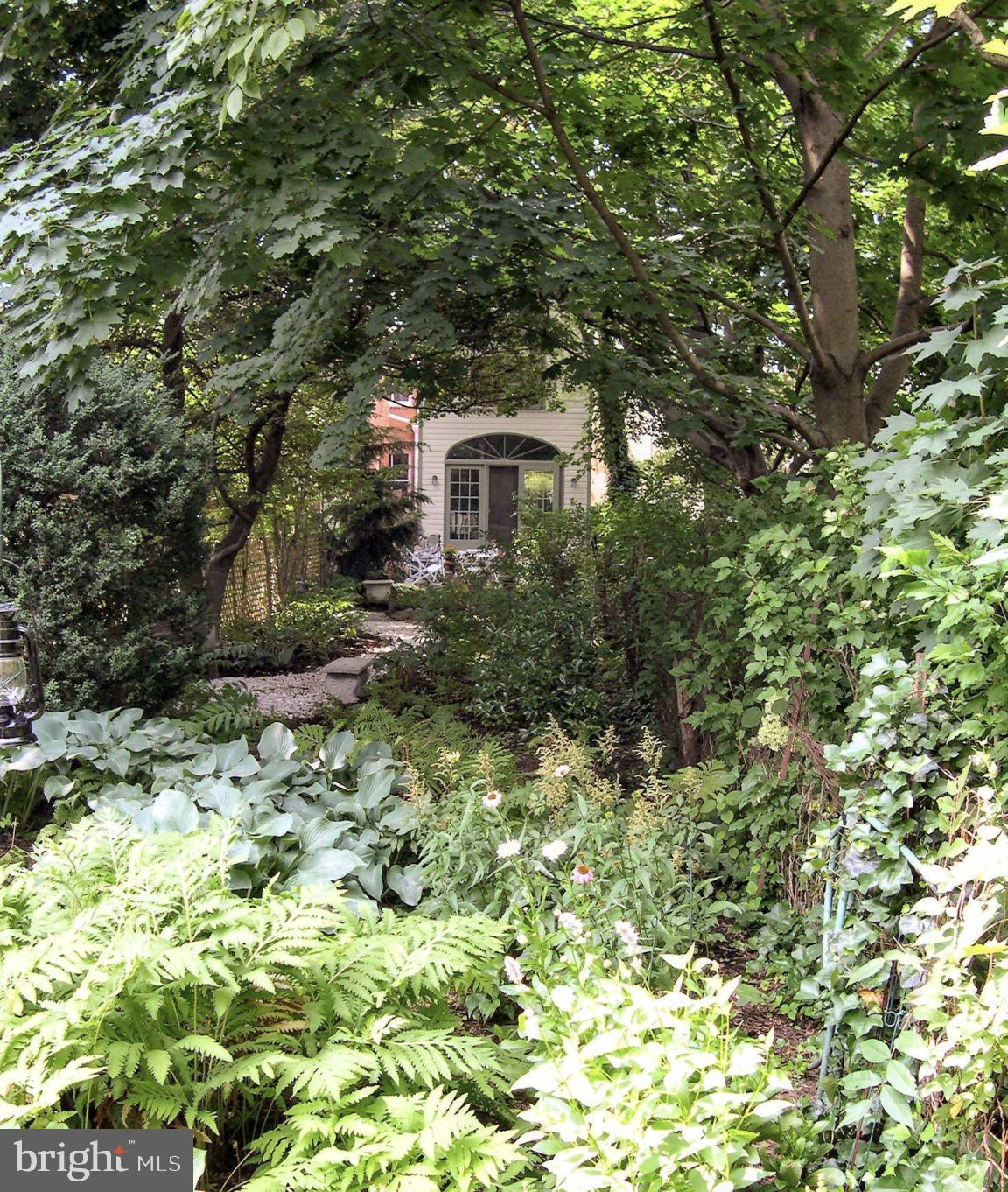 DOWNTOWN FREDERICK - Residential