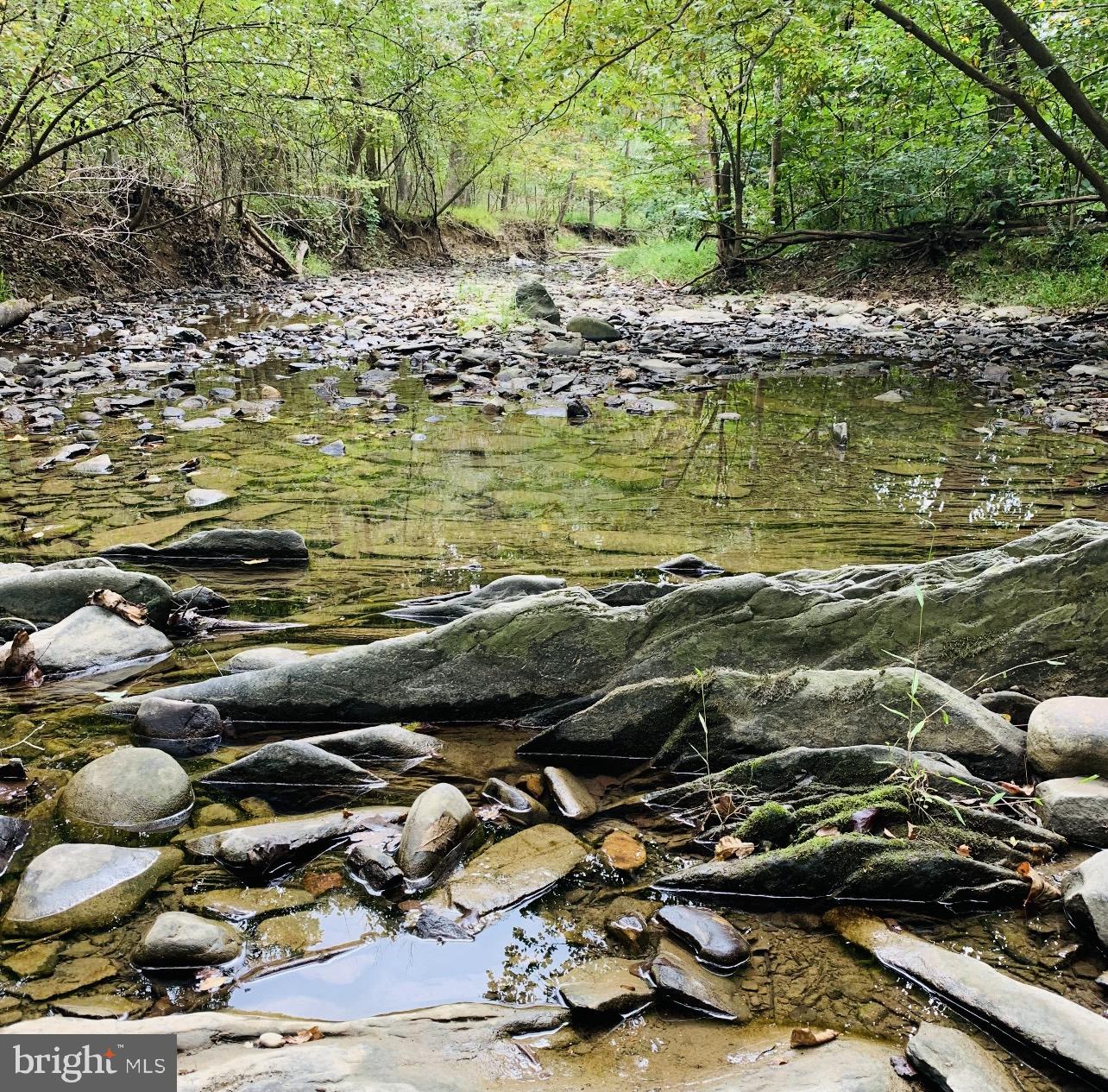THUNDERBIRD FARM - Residential