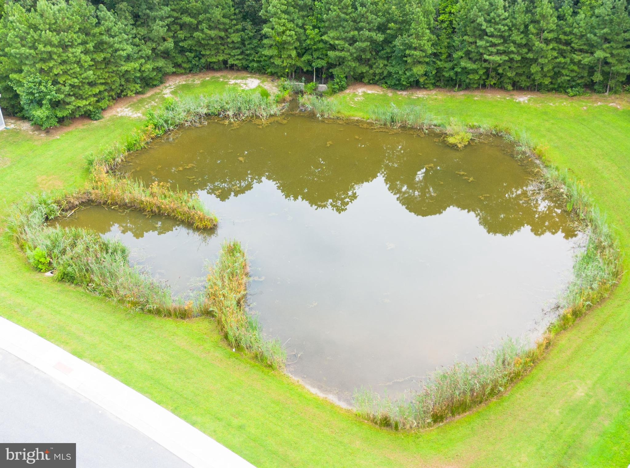 HERON PONDS - Residential