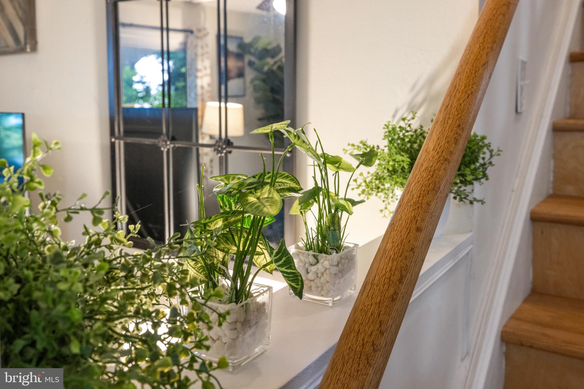 GLENWOOD FOREST - Residential