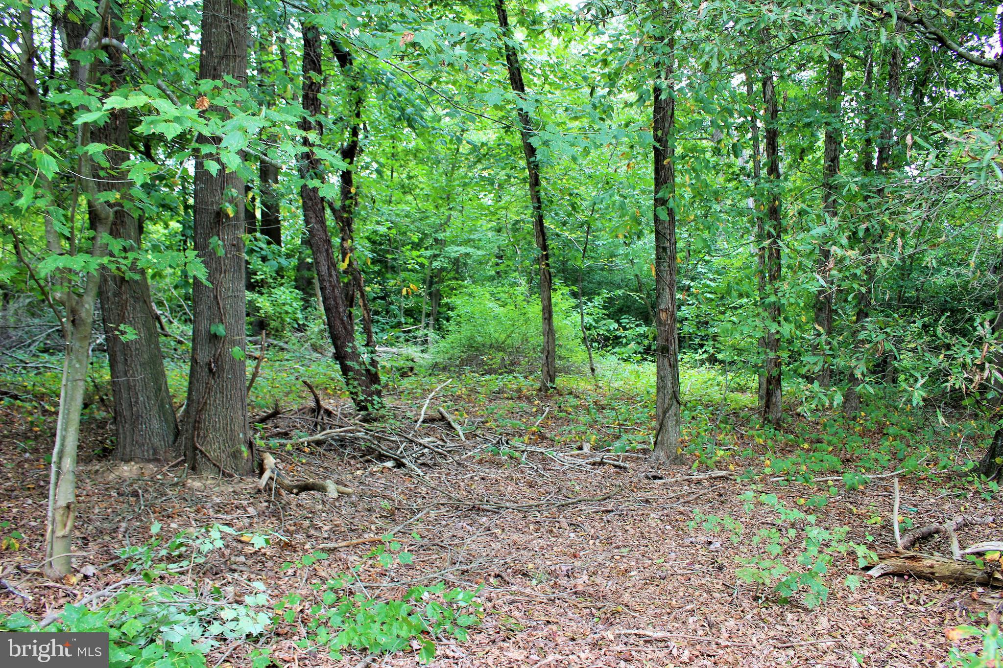 THREE NOTCH ROAD