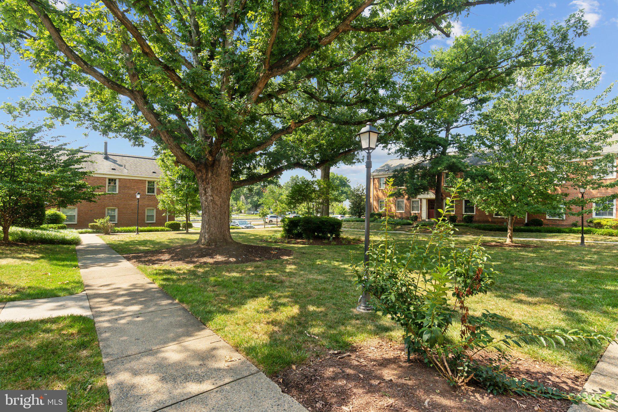 CAMBRIDGE COURTS - Residential Lease