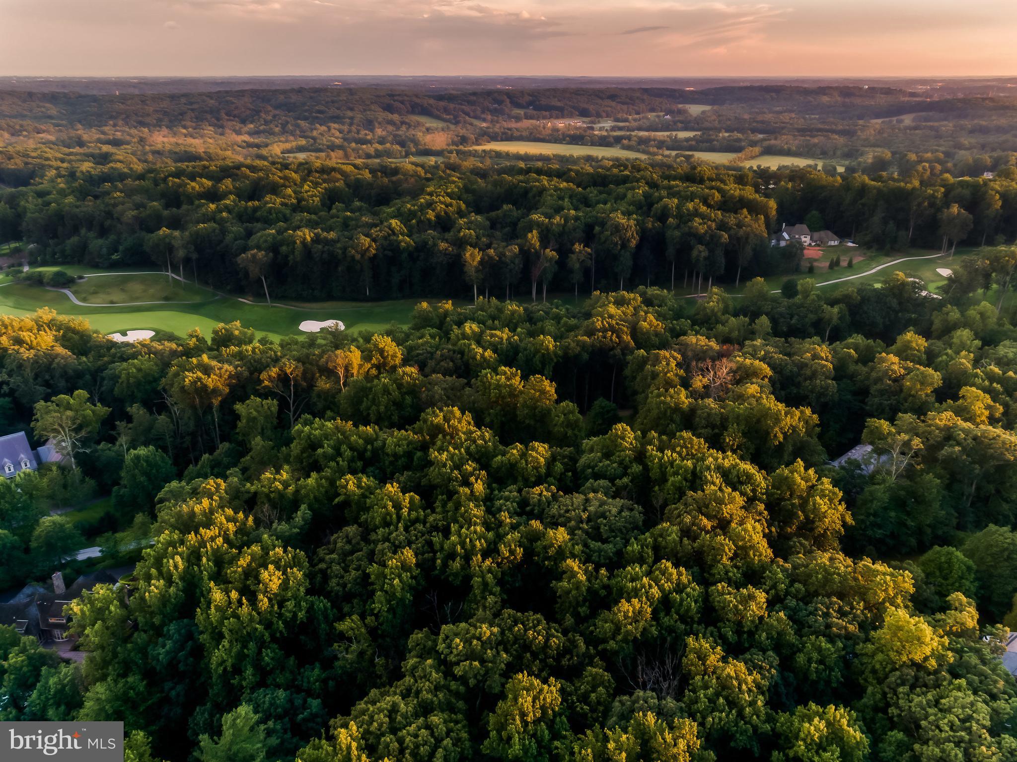 CAVES VALLEY GOLF CLUB - Land