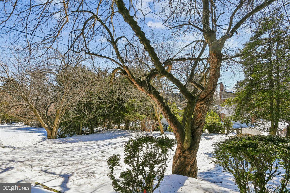 GREATER HOMELAND HISTORIC DISTRICT - Residential