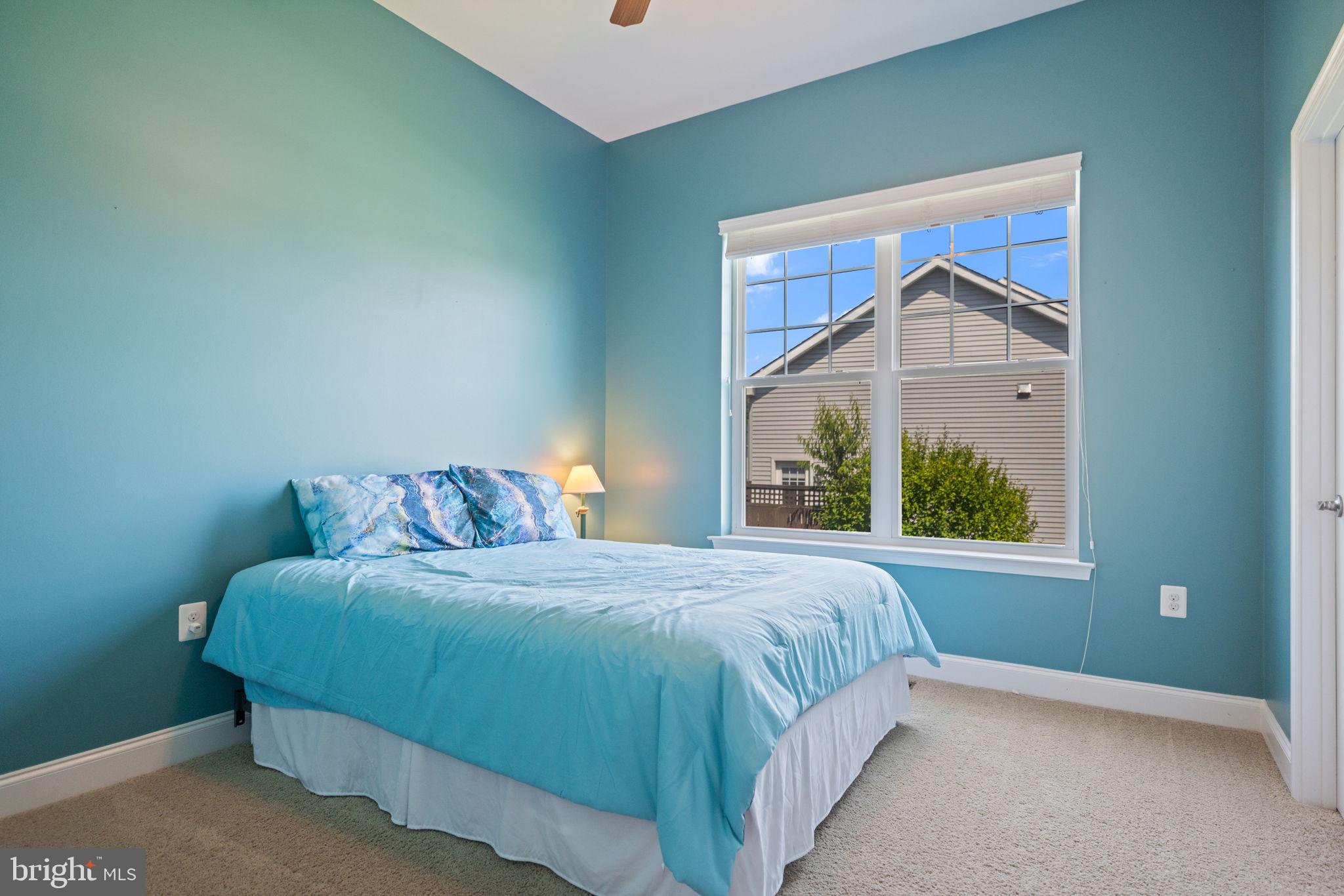 NORBORNE GLEBE - Residential