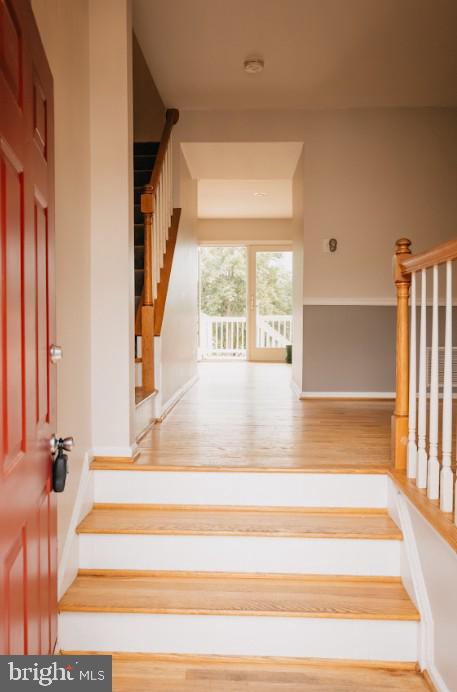 AVONDALE RUN - Residential Lease