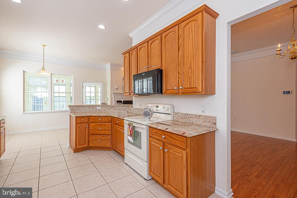 OCEAN PINES - THE PARKE - Residential