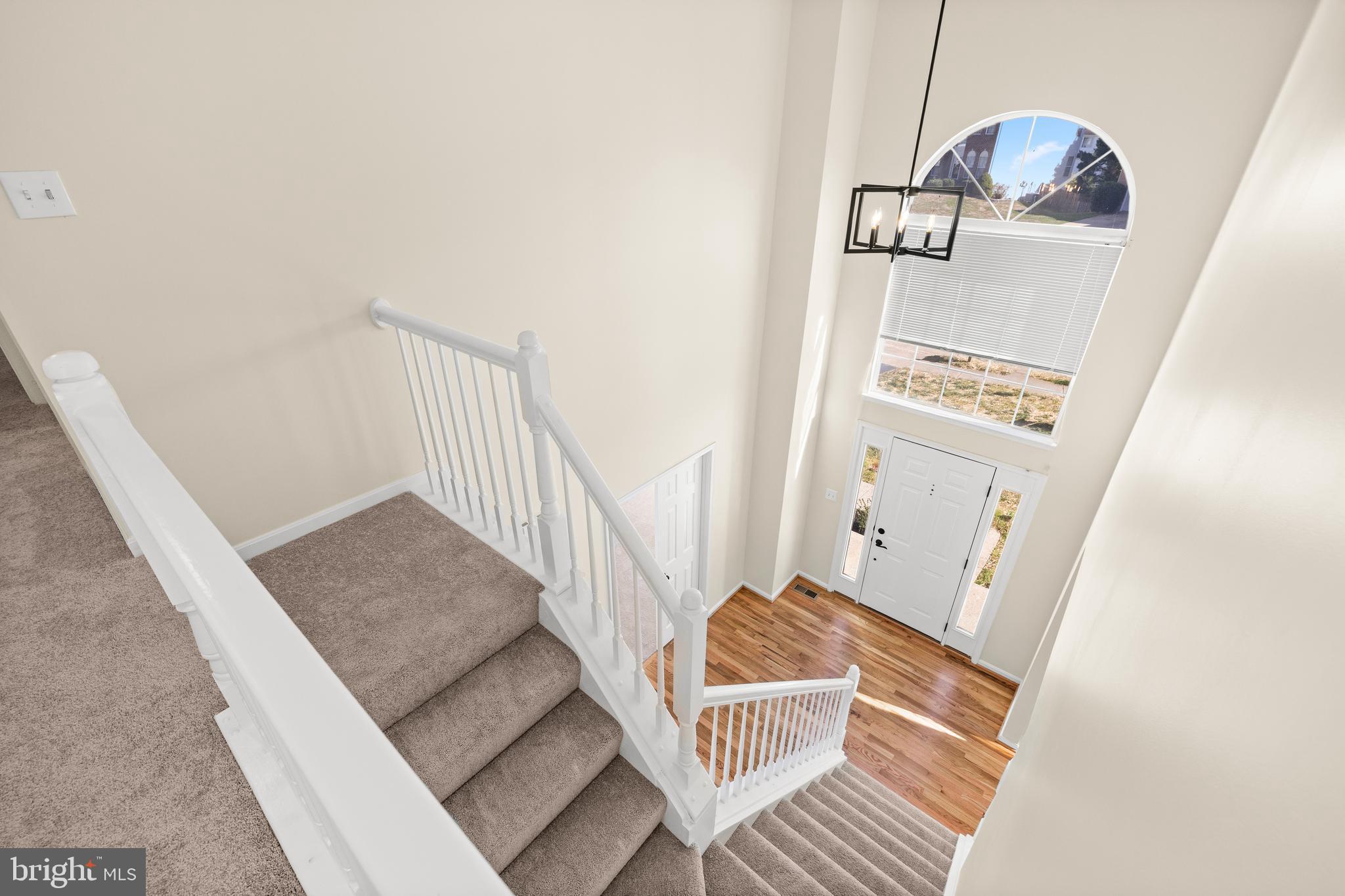 HAMPTON OAKS - Residential