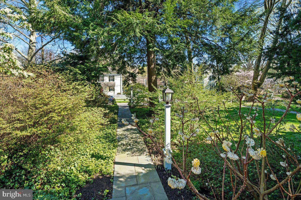 CHESTNUT HILL - Residential