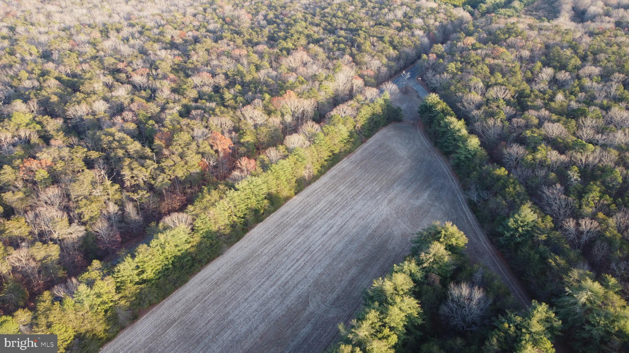 ROUTE 347 AND CARLISLE PLACE ROAD