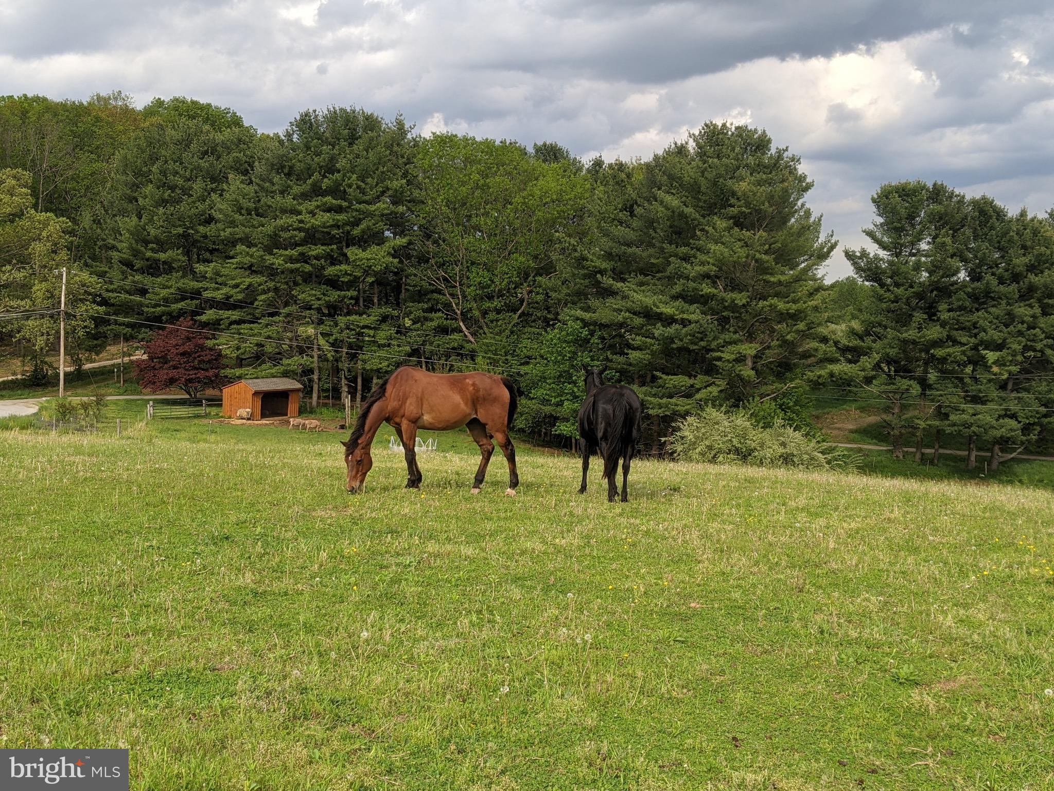 HEREFORD ZONE - Residential