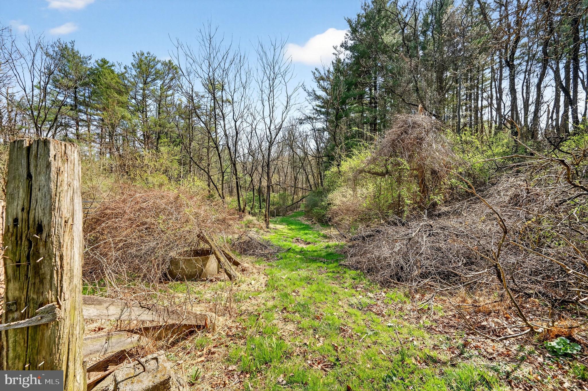 HEREFORD ZONE - Residential