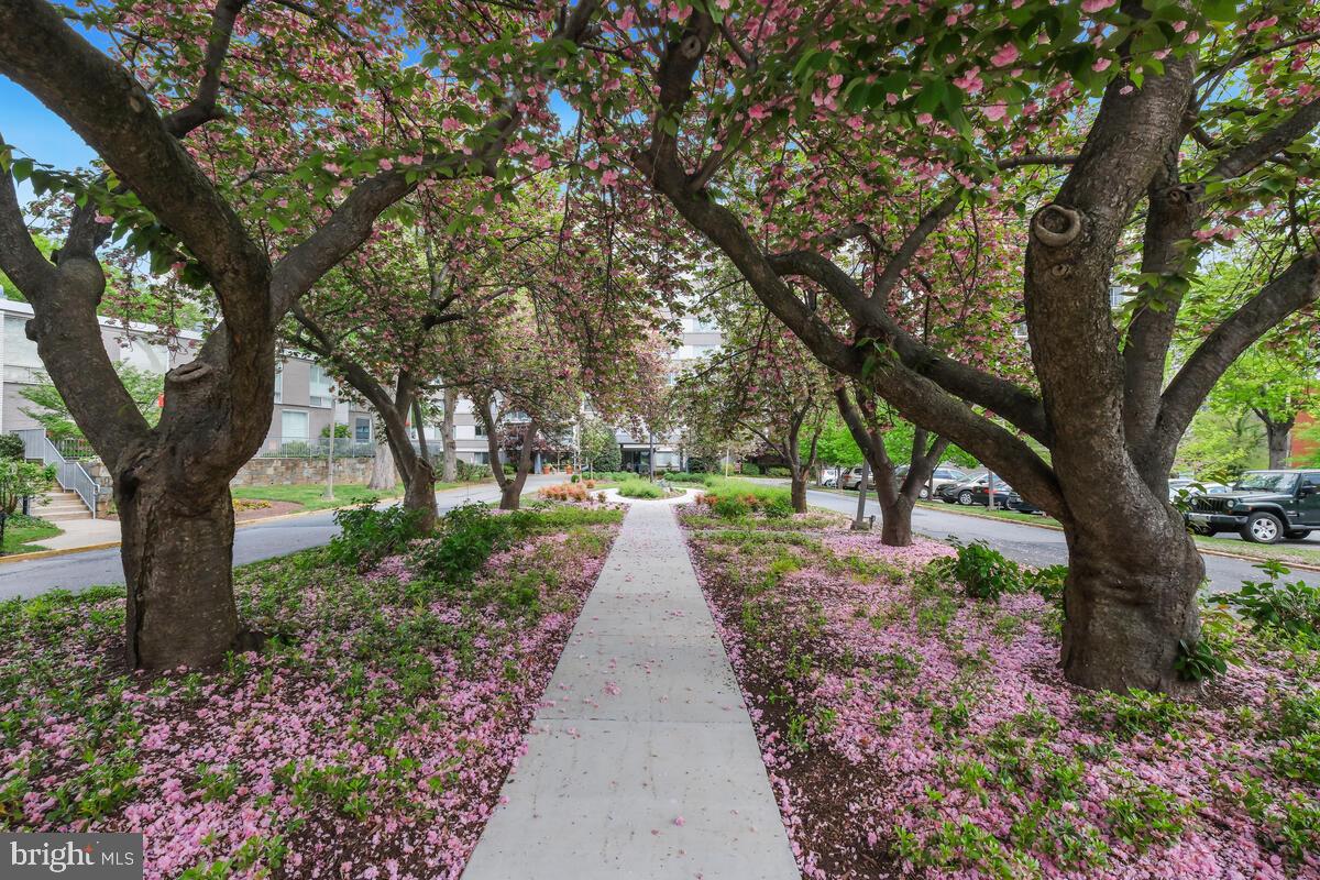 WHITEHALL - Residential