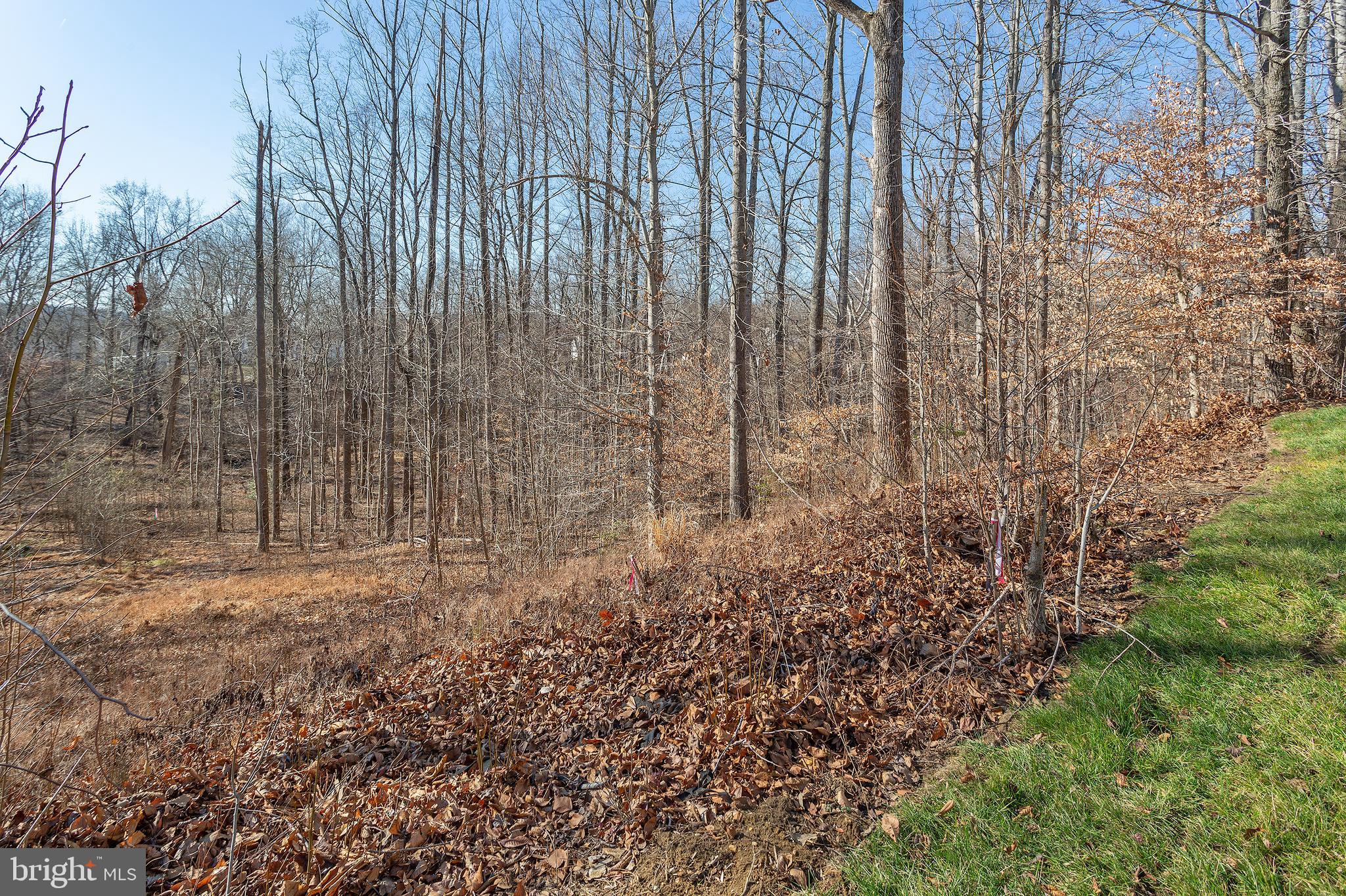 THRIFT MANOR-PLAT 1> - Residential