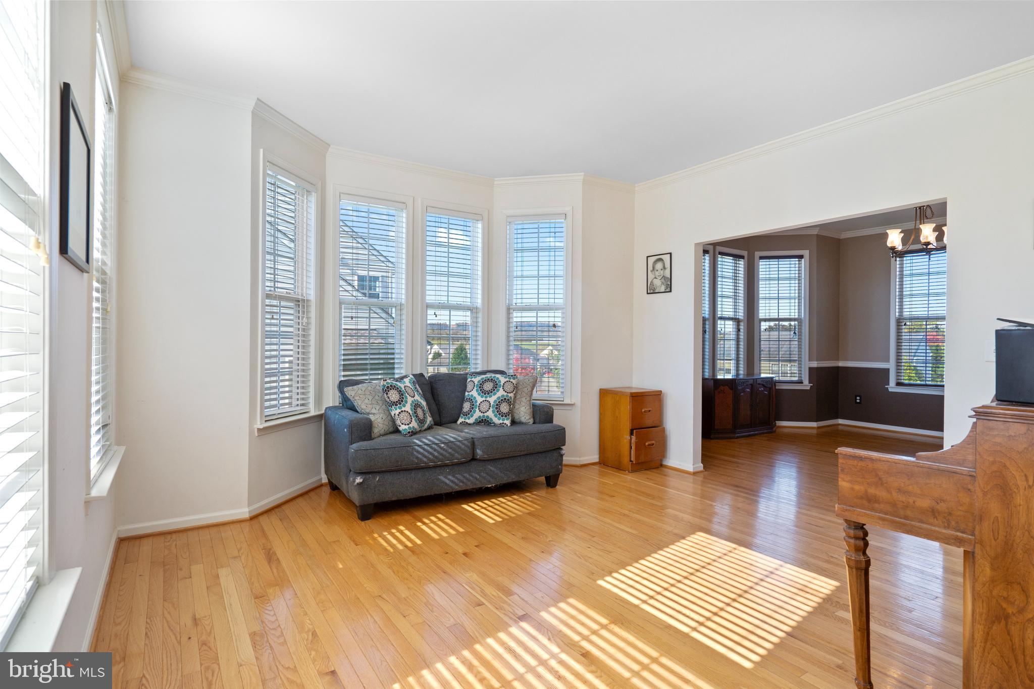 85 VANE DRIVE