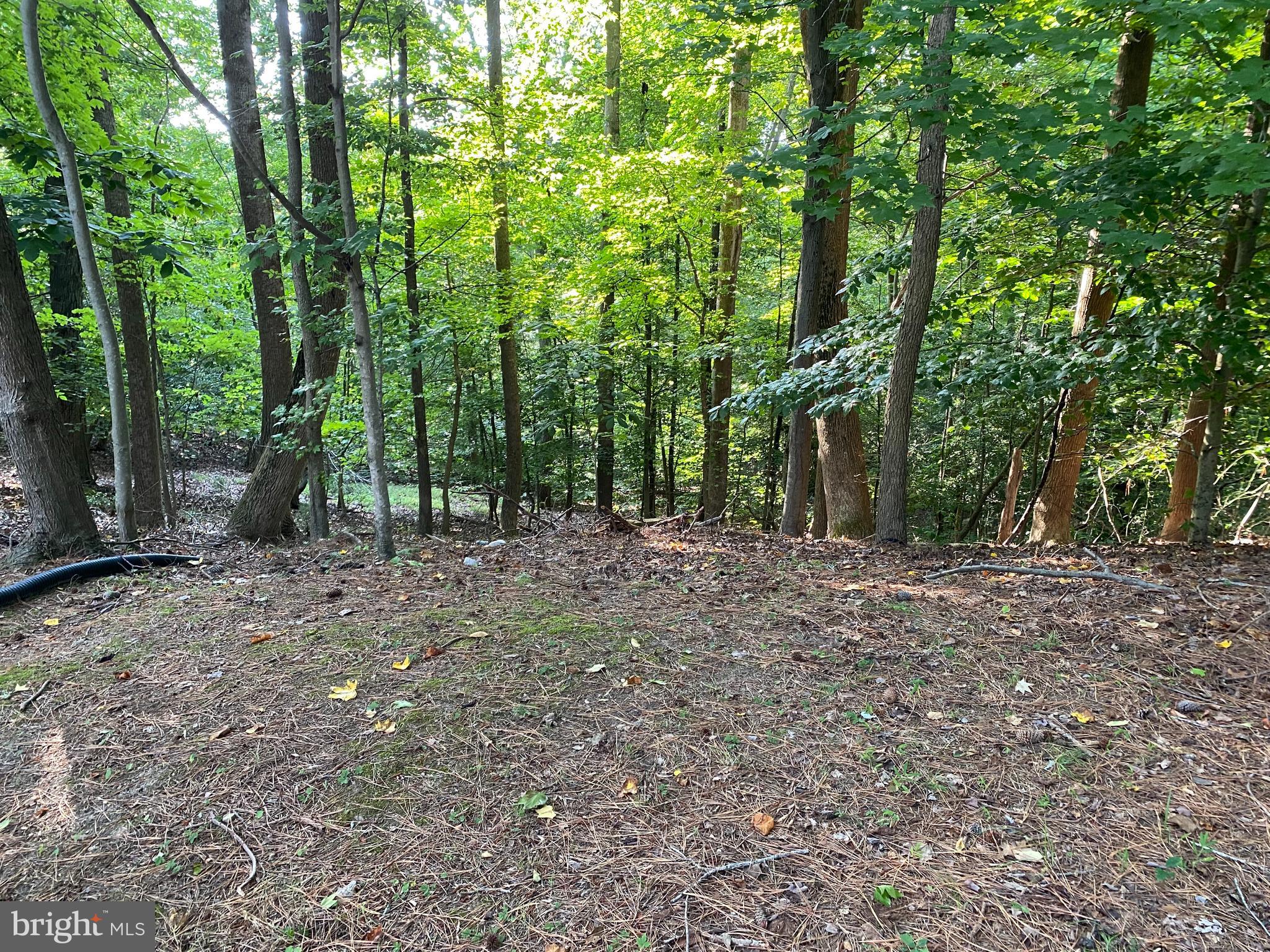 CHESAPEAKE RANCH ESTATES - Residential