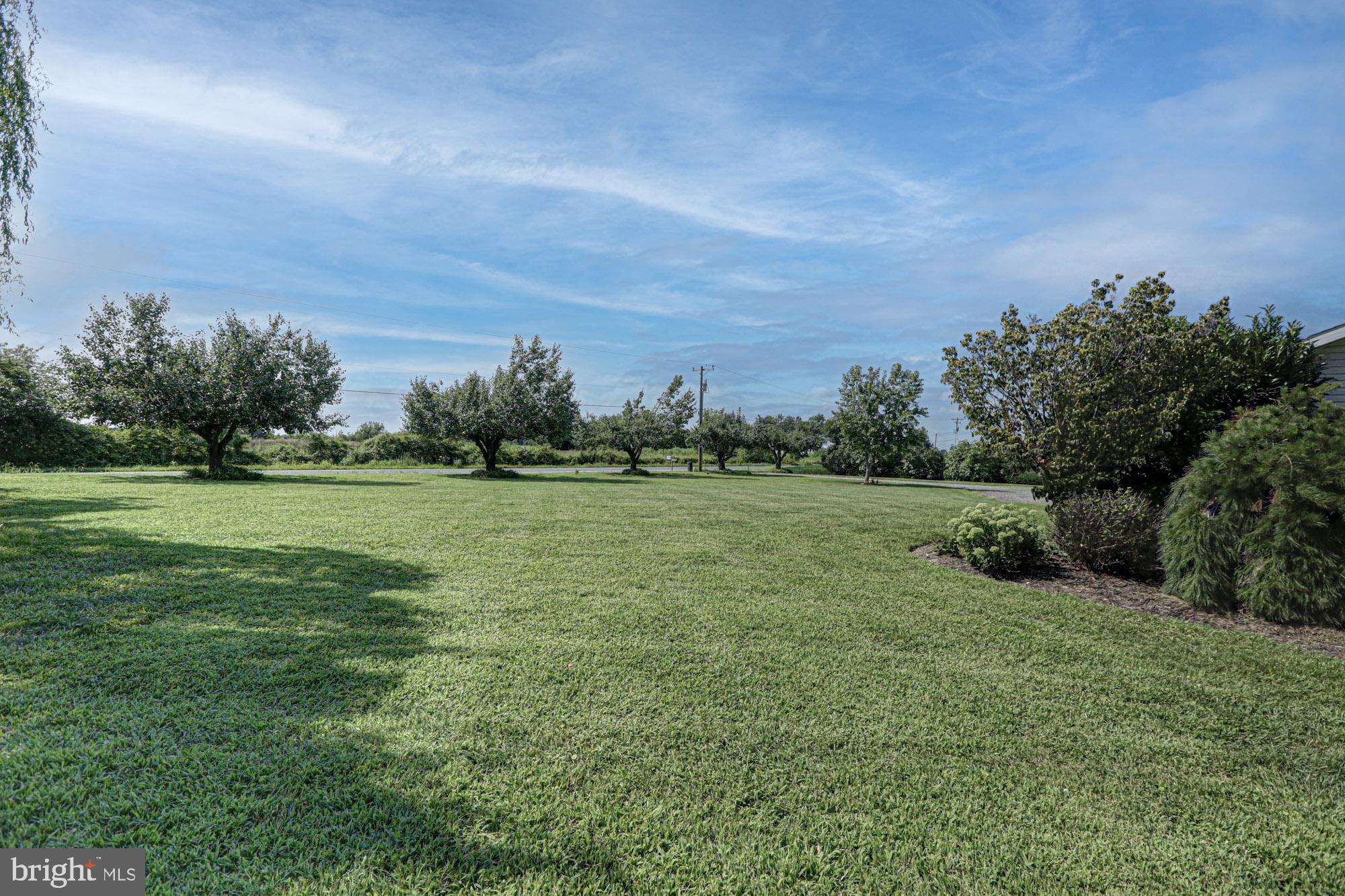 HAZELWOOD - Residential