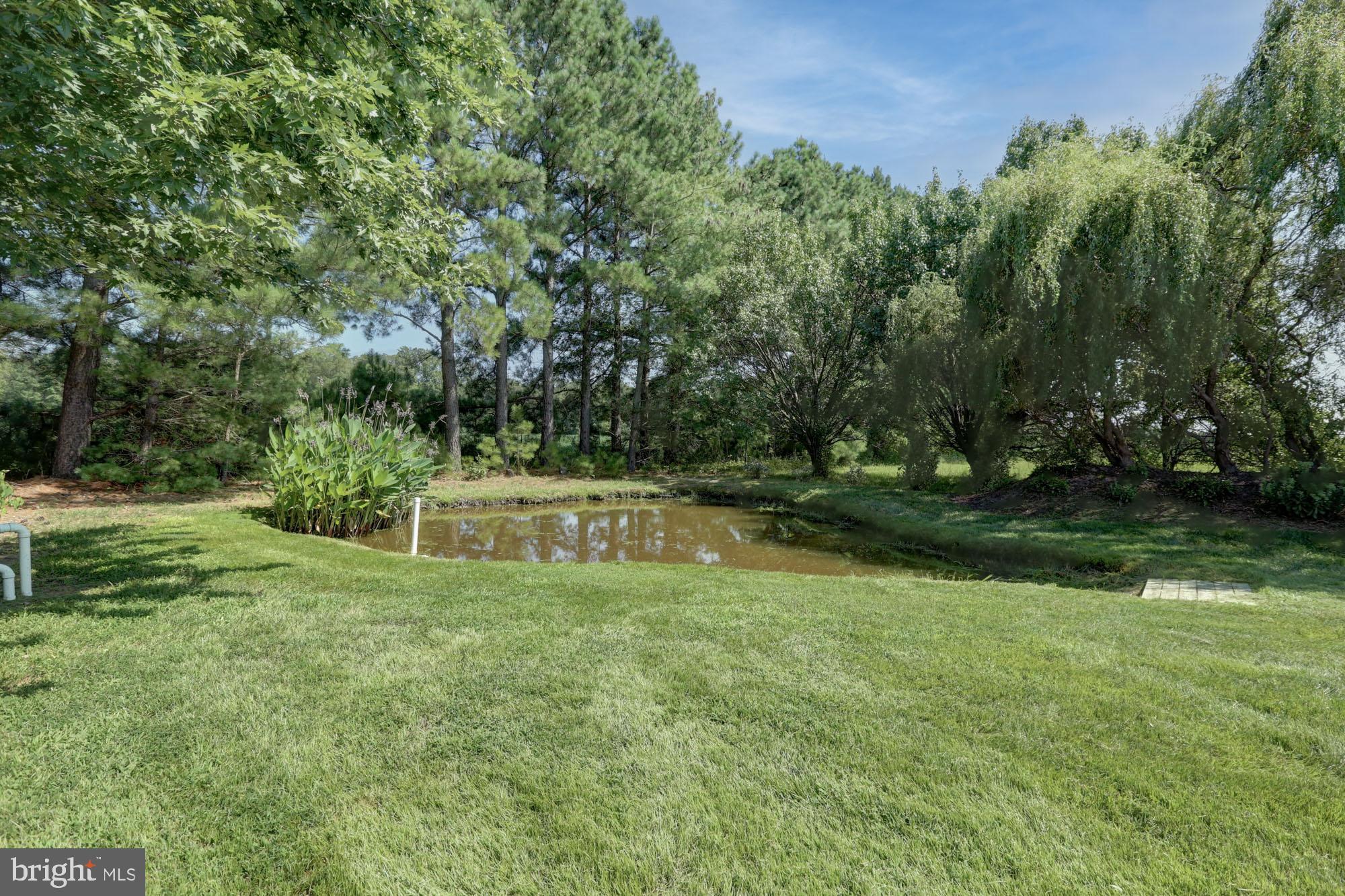 HAZELWOOD - Residential