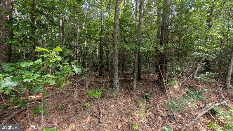 Lot 39 EAGLE VISTA LANE