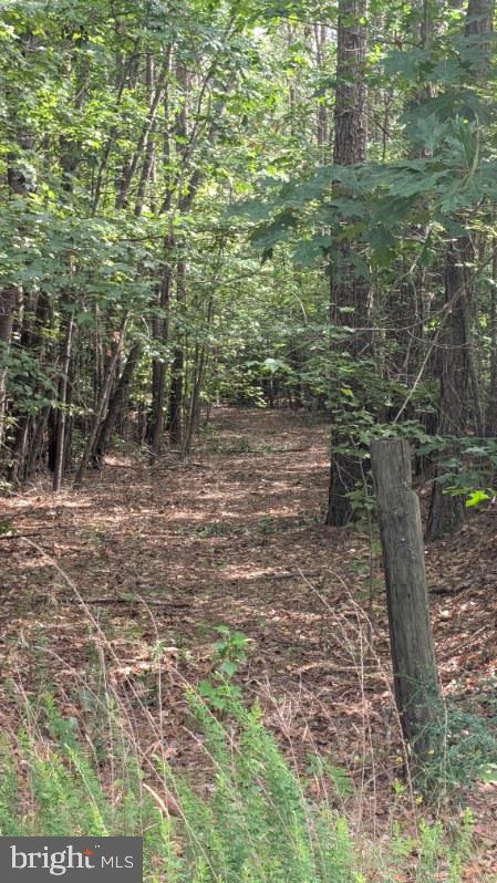 Lot 39 EAGLE VISTA LANE